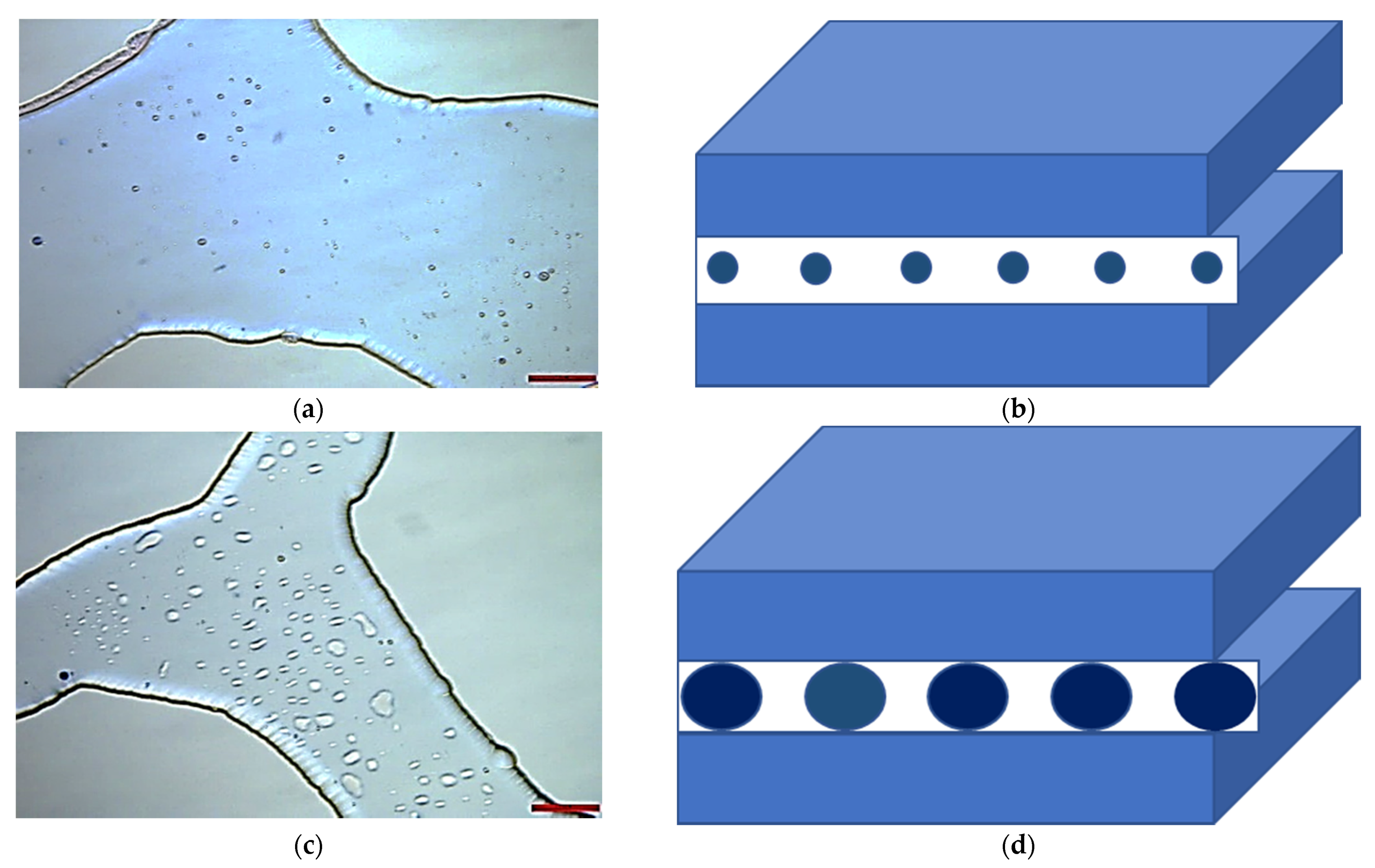 Processes 10 00112 g011