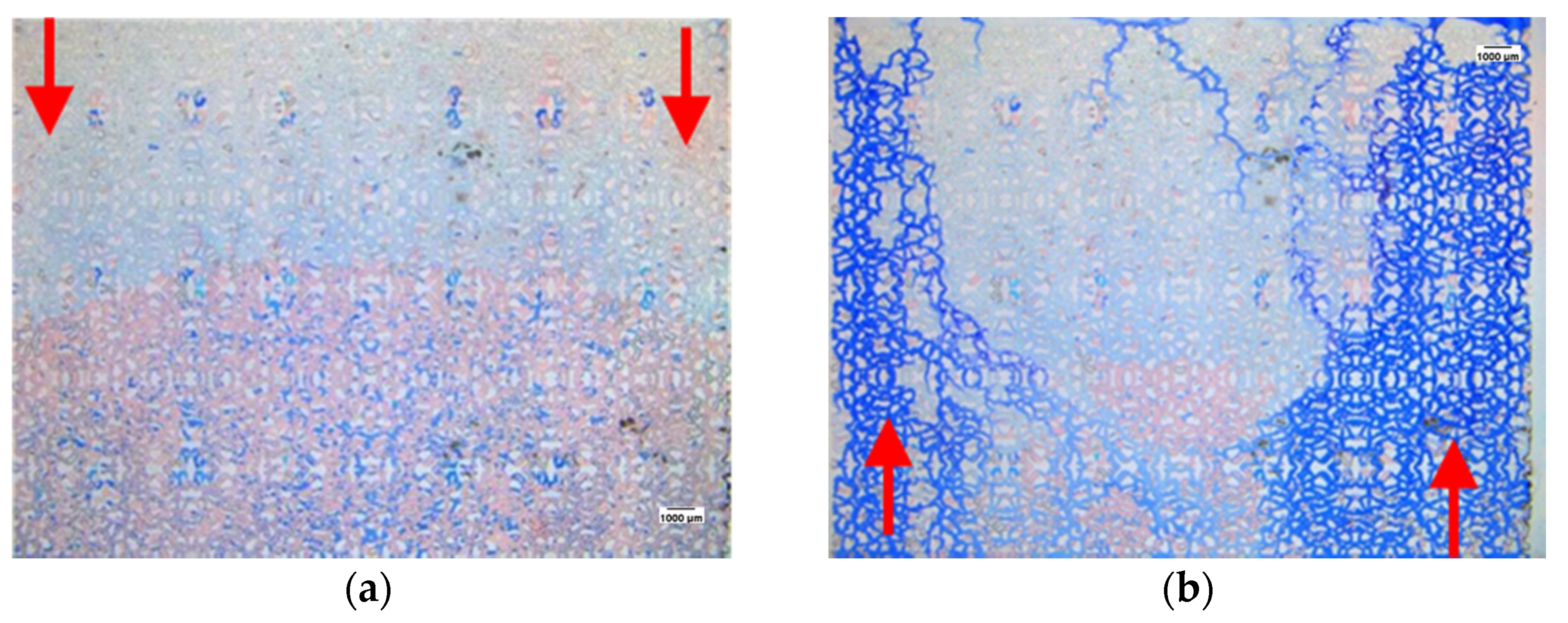 Processes 10 00112 g012