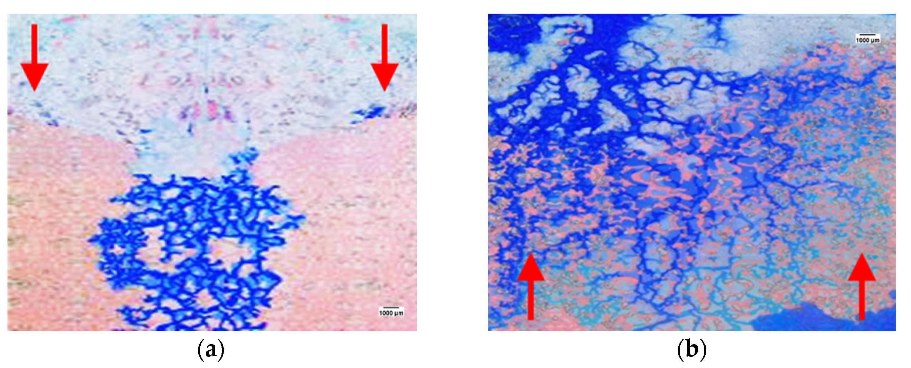 Processes 10 00112 g013