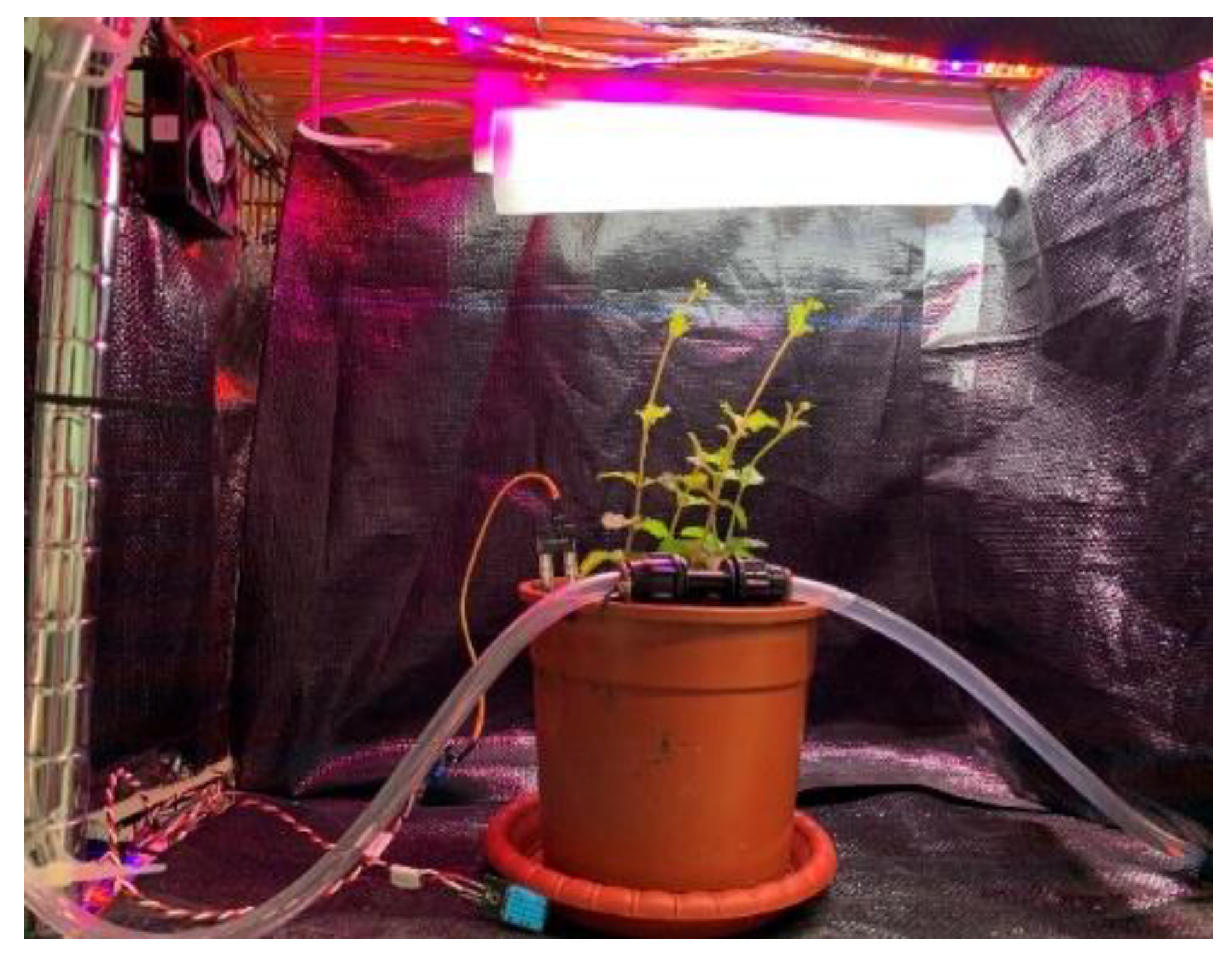 Processes 10 00116 g007