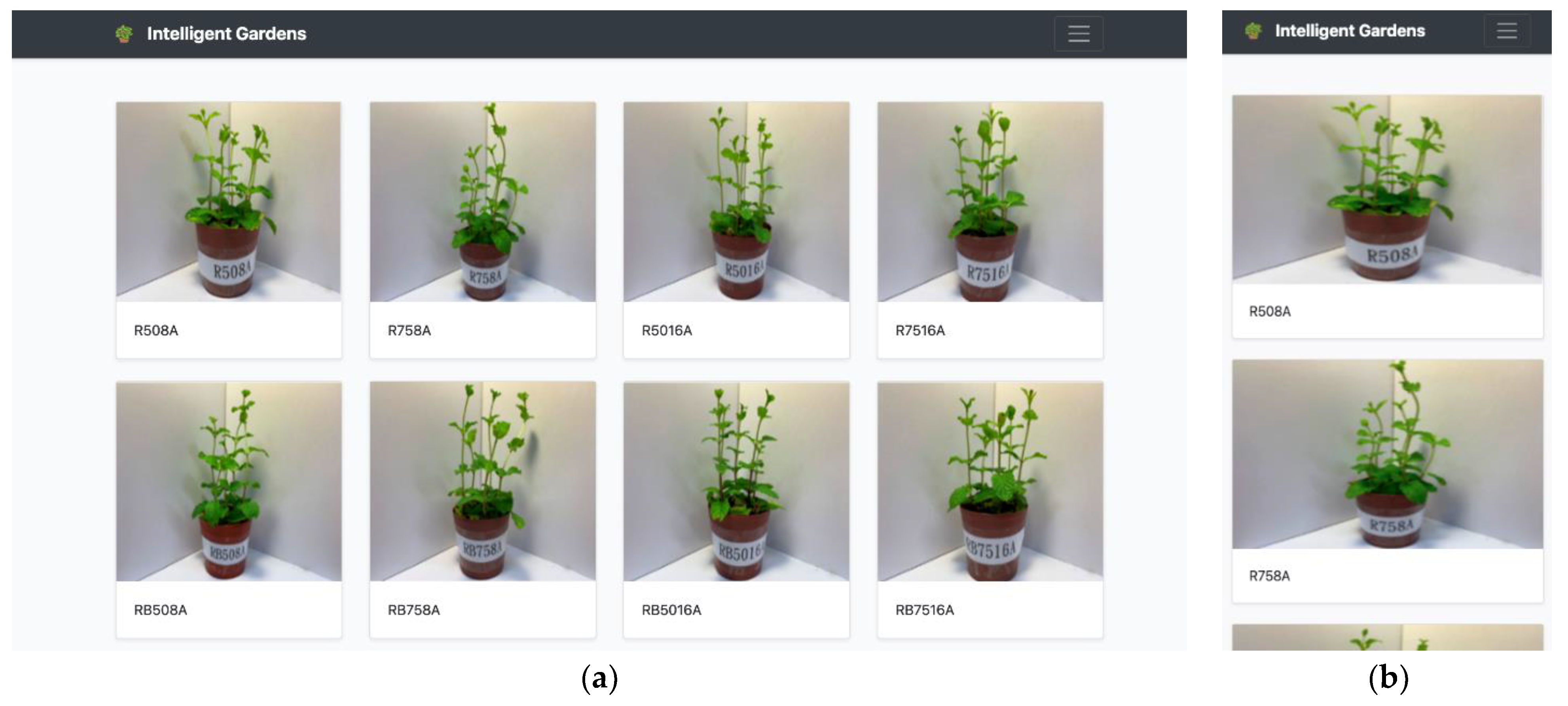 Processes 10 00116 g010