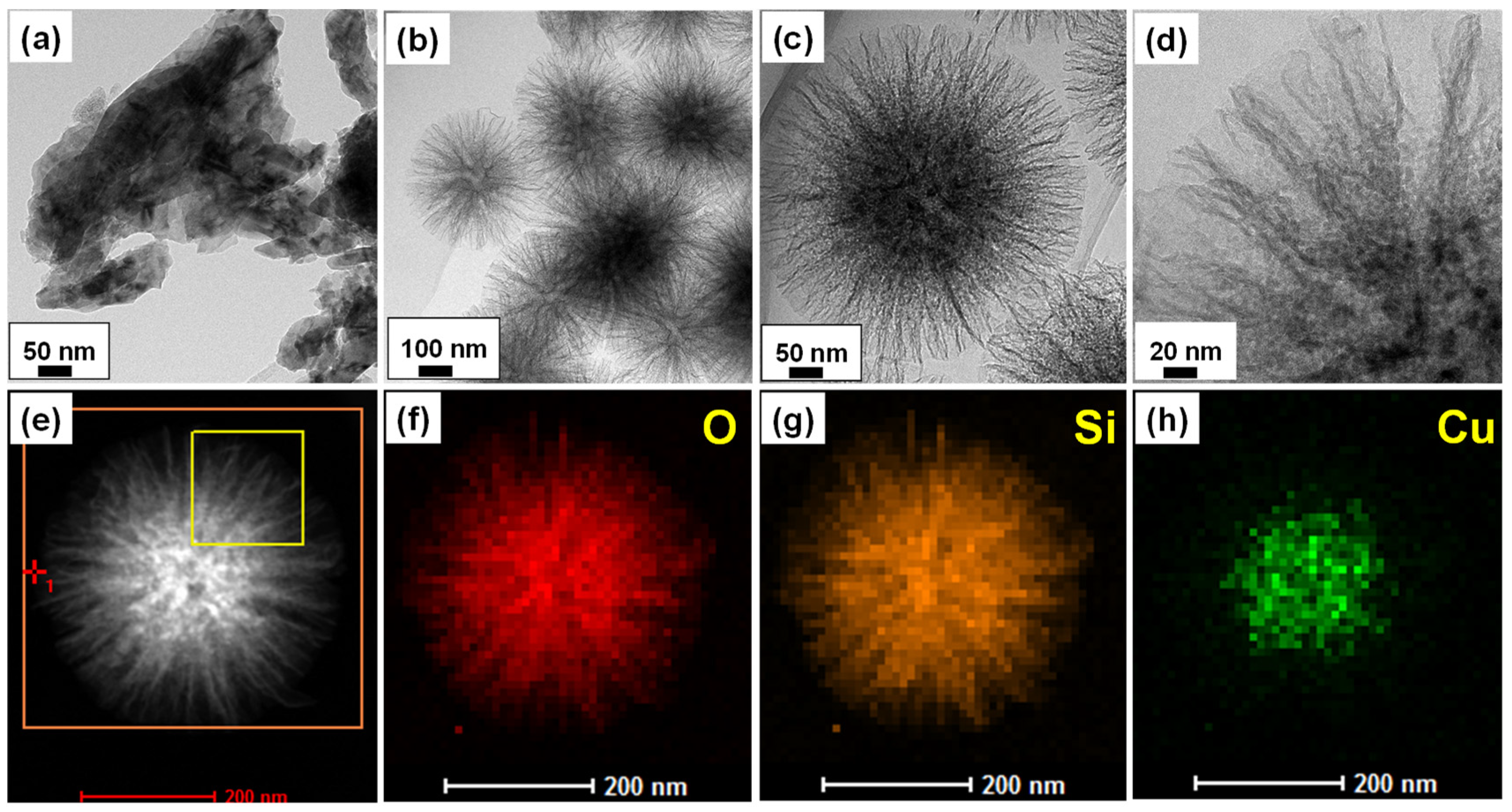 Processes 10 00145 g002
