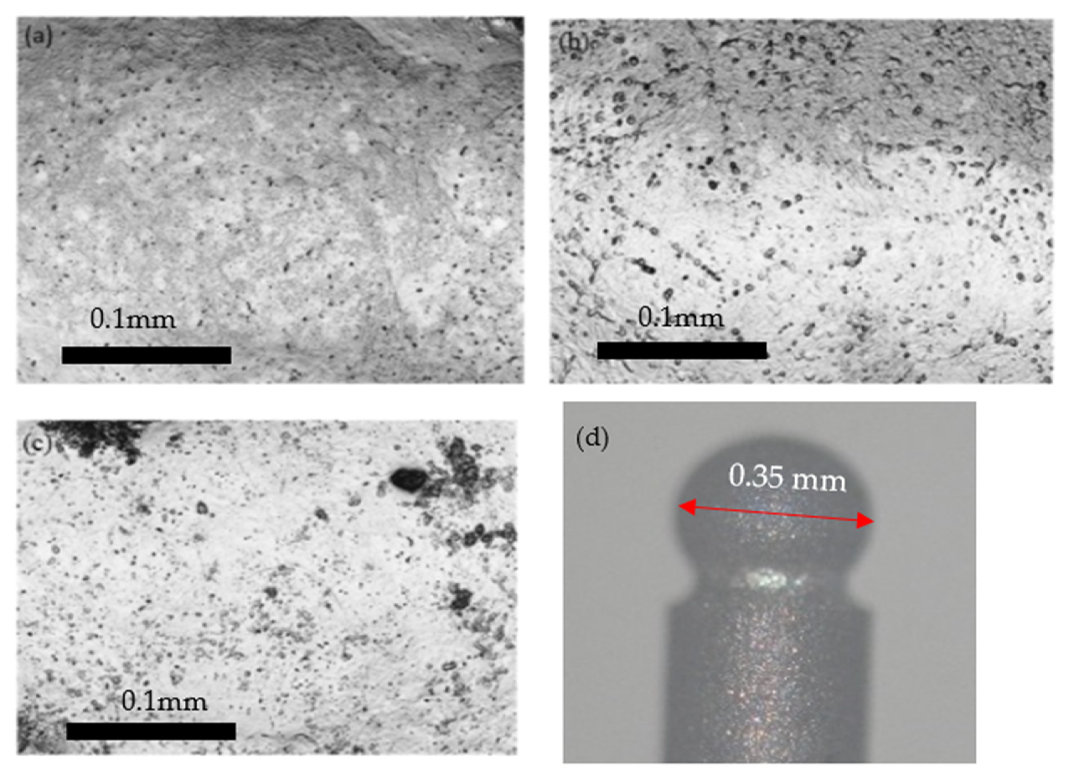 Processes 10 00152 g005