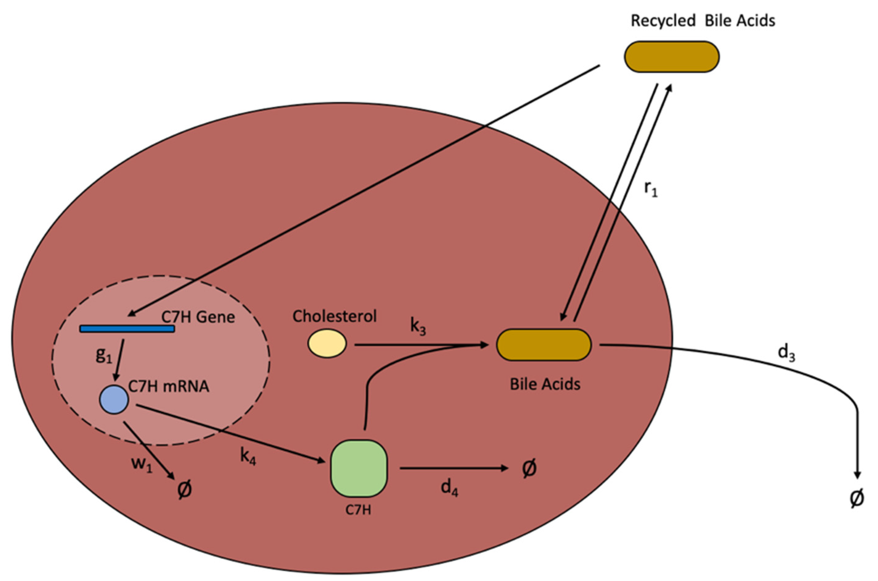 Processes 10 00155 g004