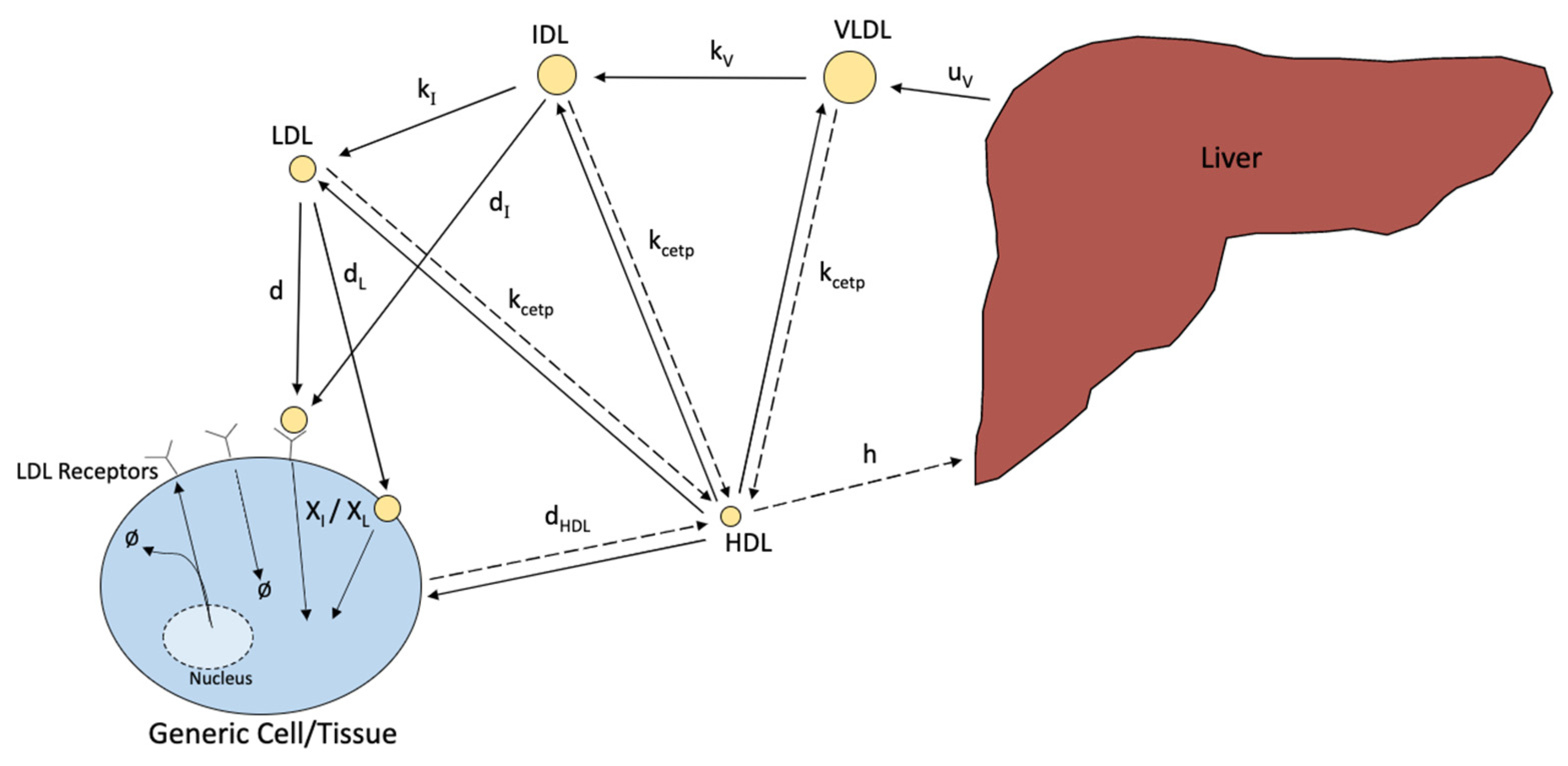 Processes 10 00155 g005