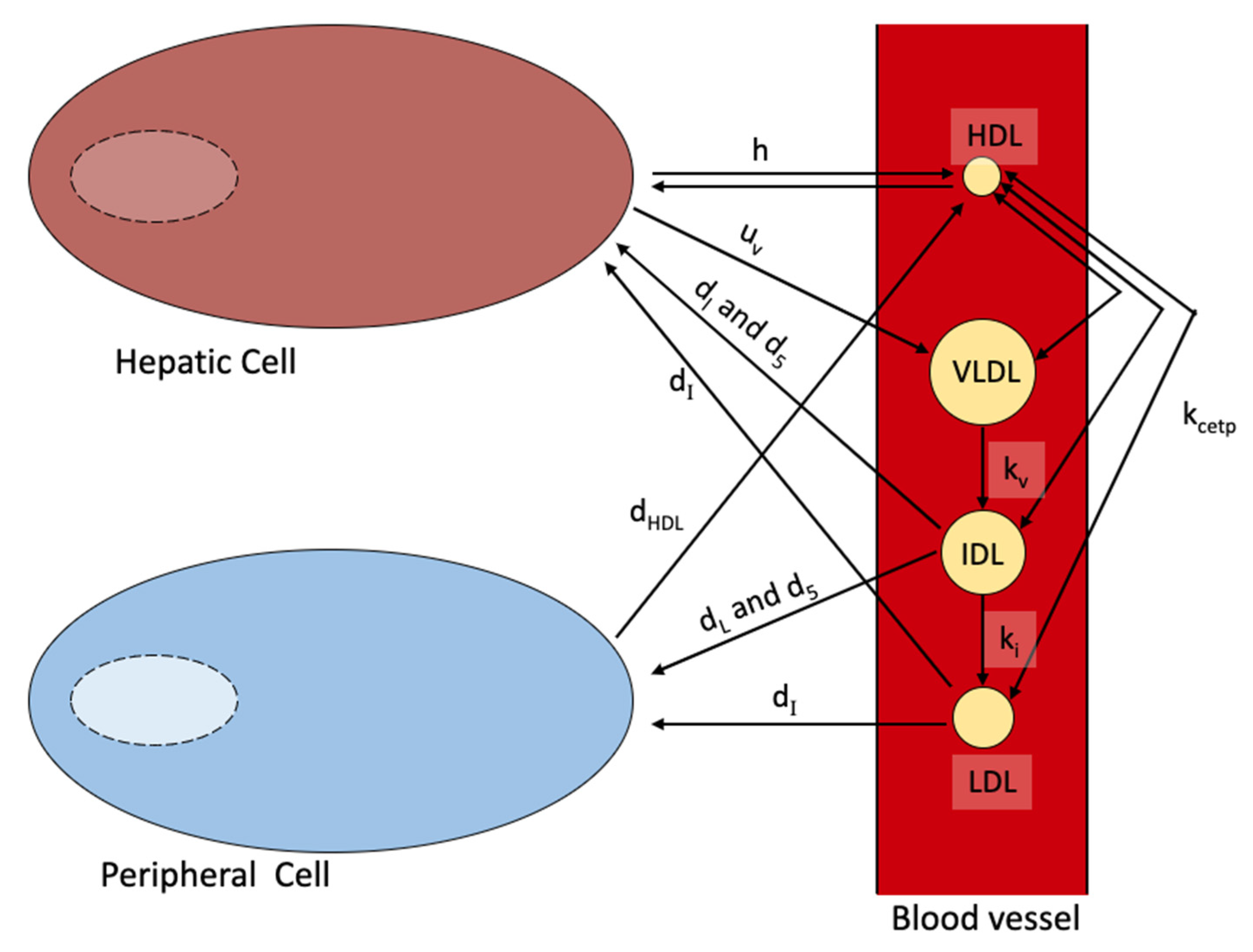 Processes 10 00155 g006