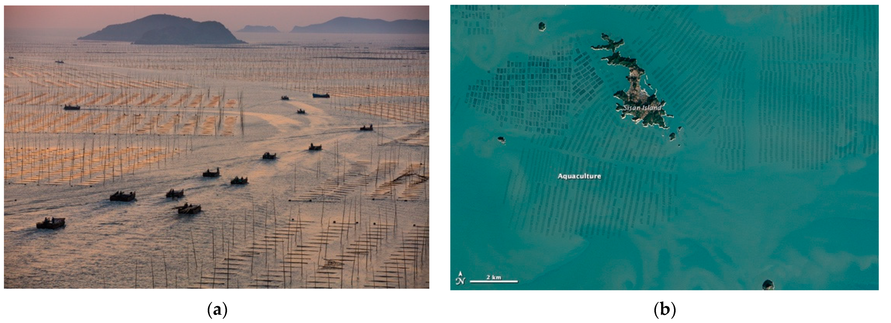 Processes 10 00175 g002