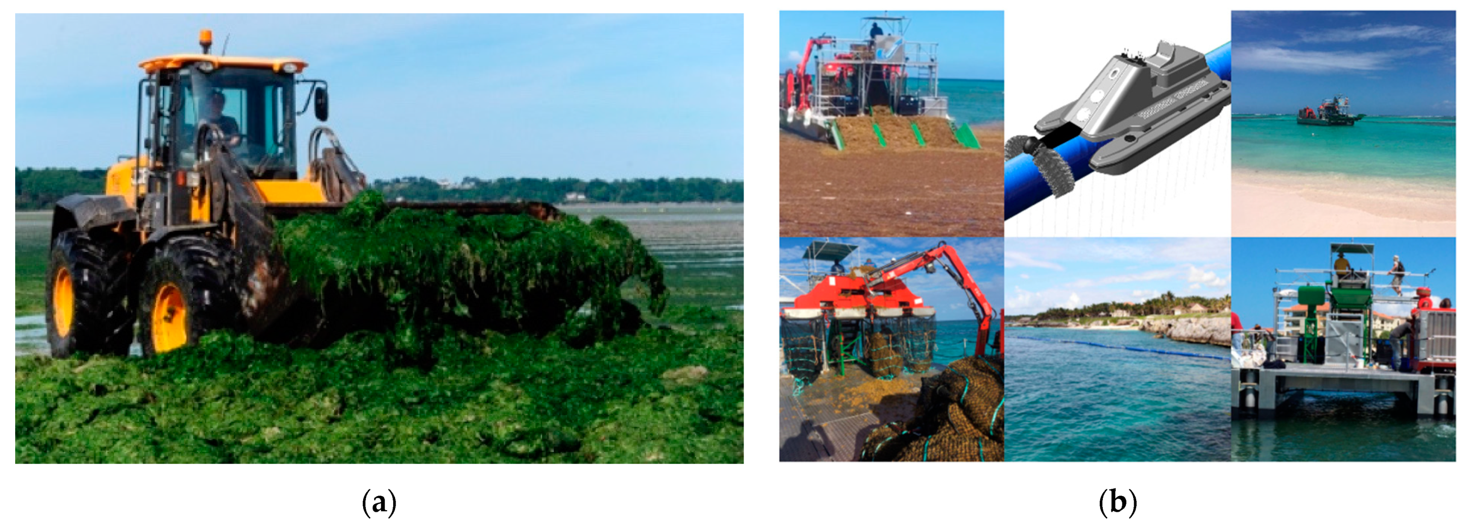 Processes 10 00175 g003