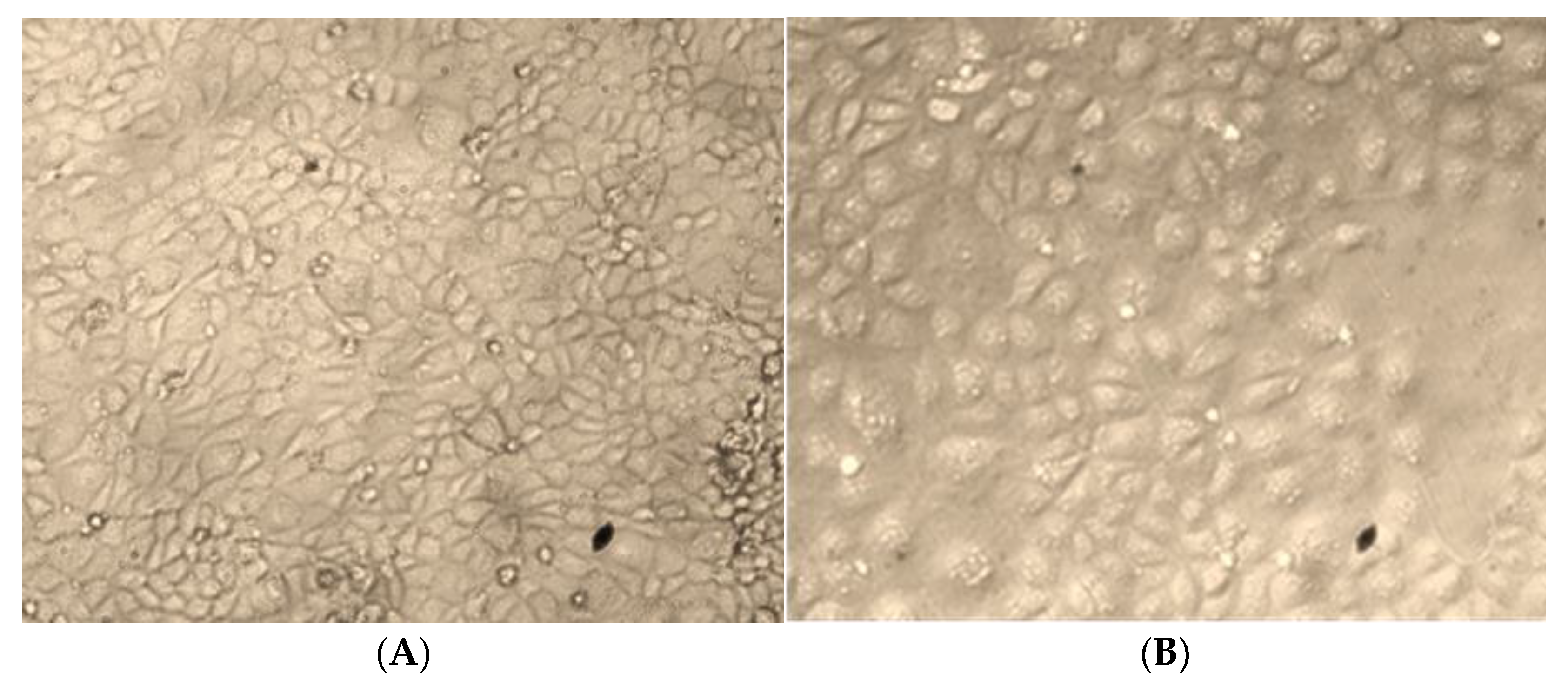 Processes 10 00183 g006