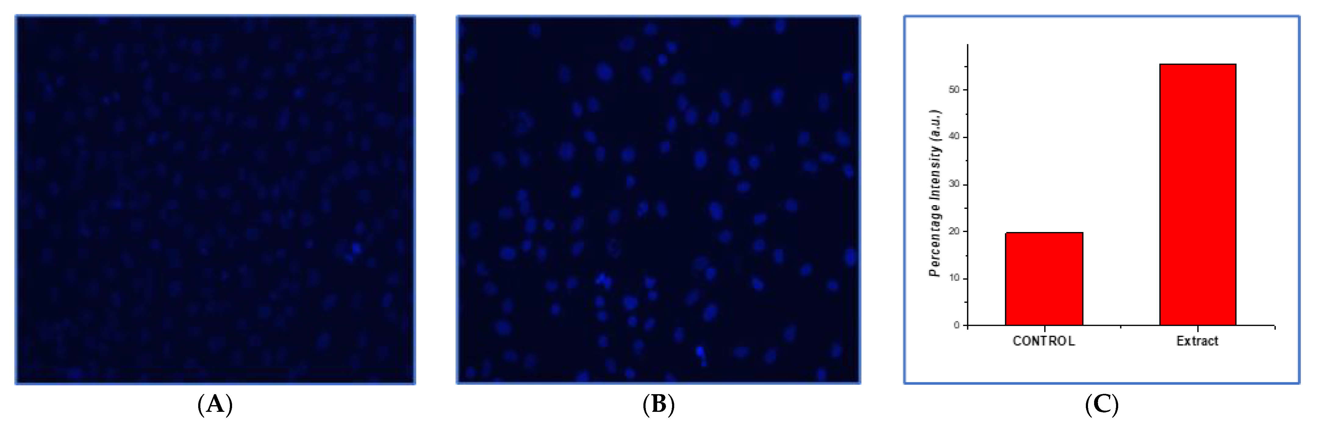 Processes 10 00183 g007