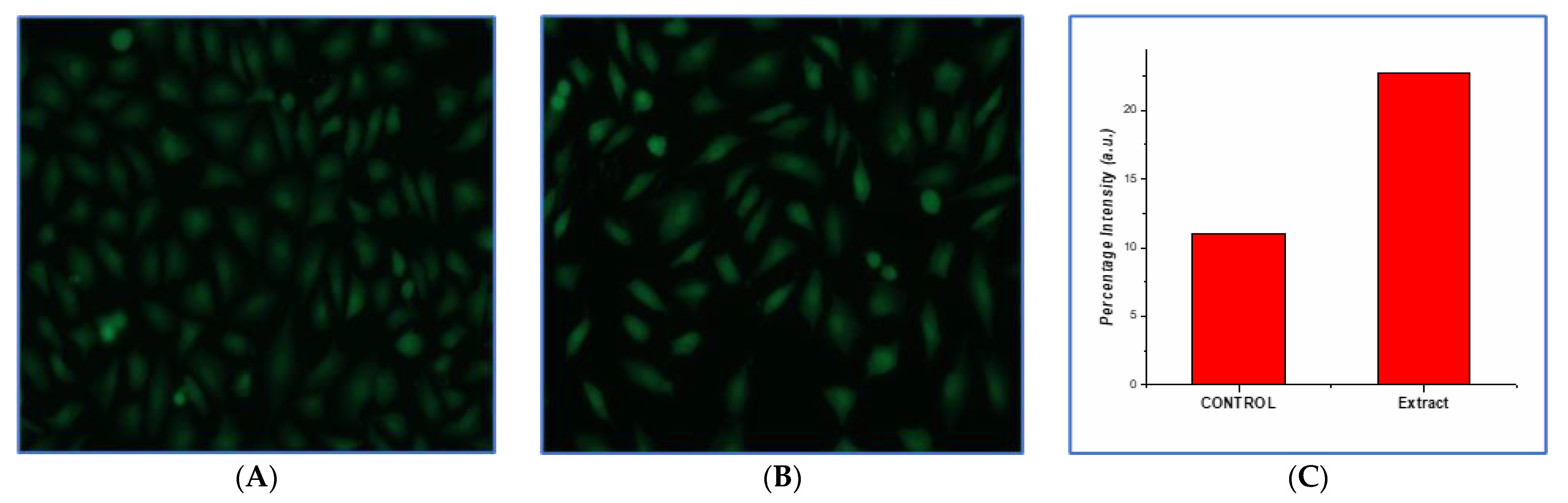 Processes 10 00183 g008