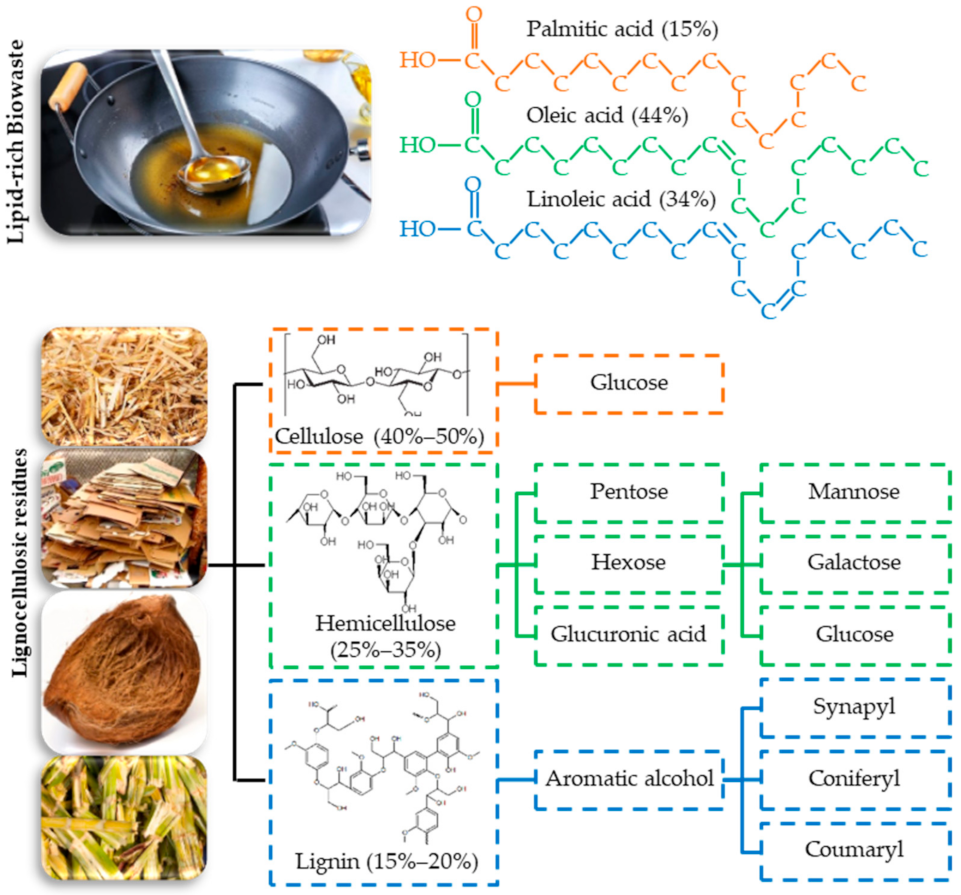 Processes 10 00187 g001