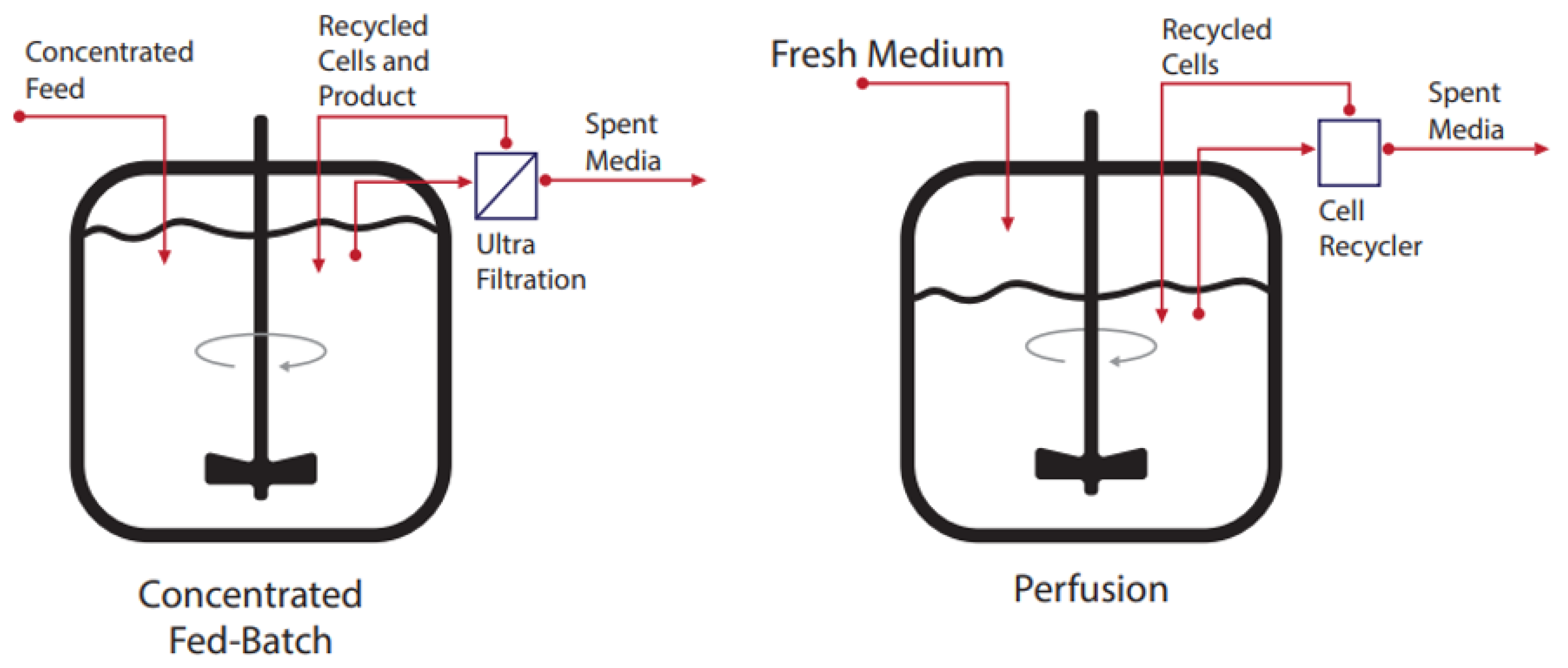 Processes 10 00189 g003