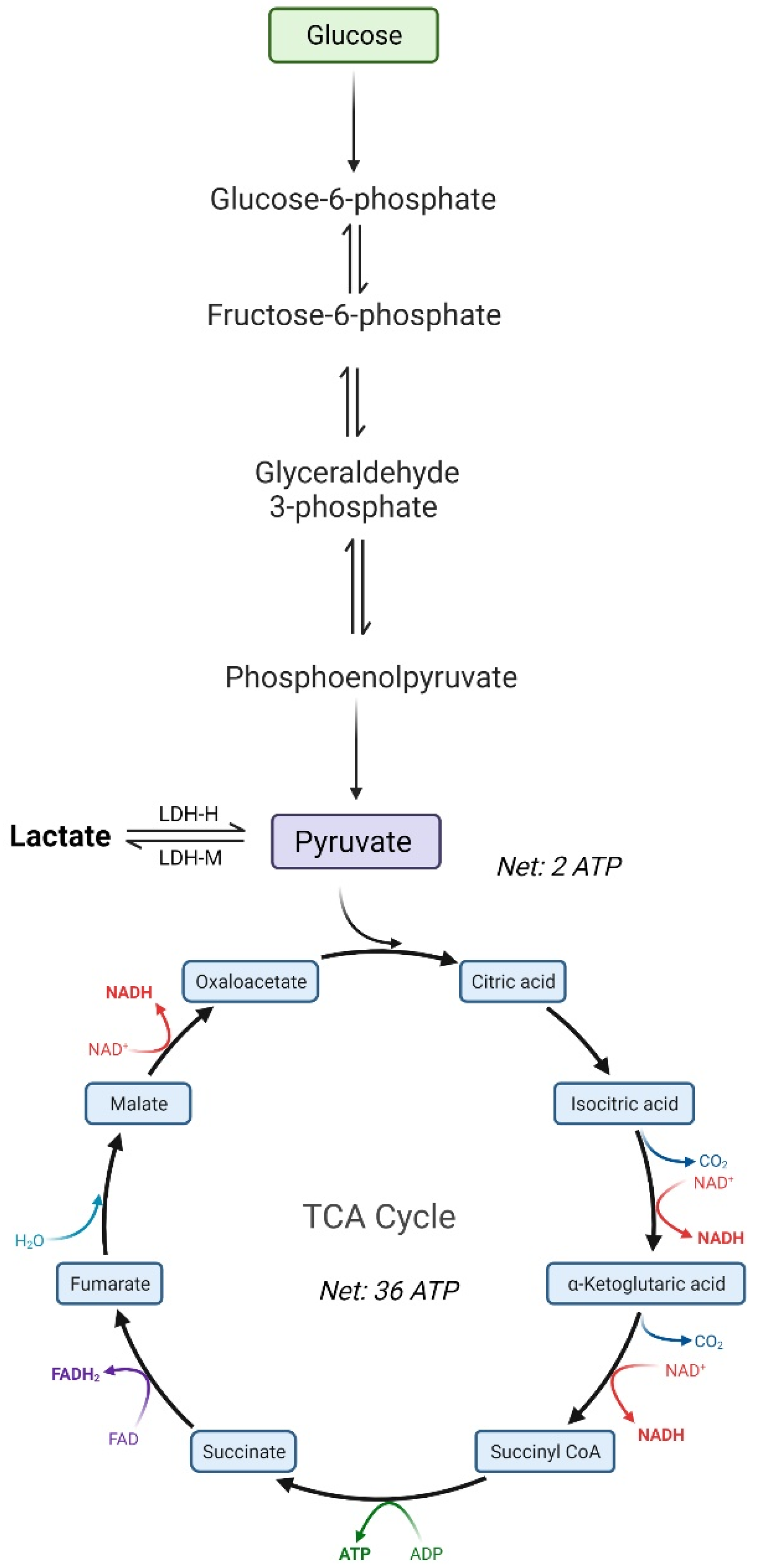 Processes 10 00189 g004