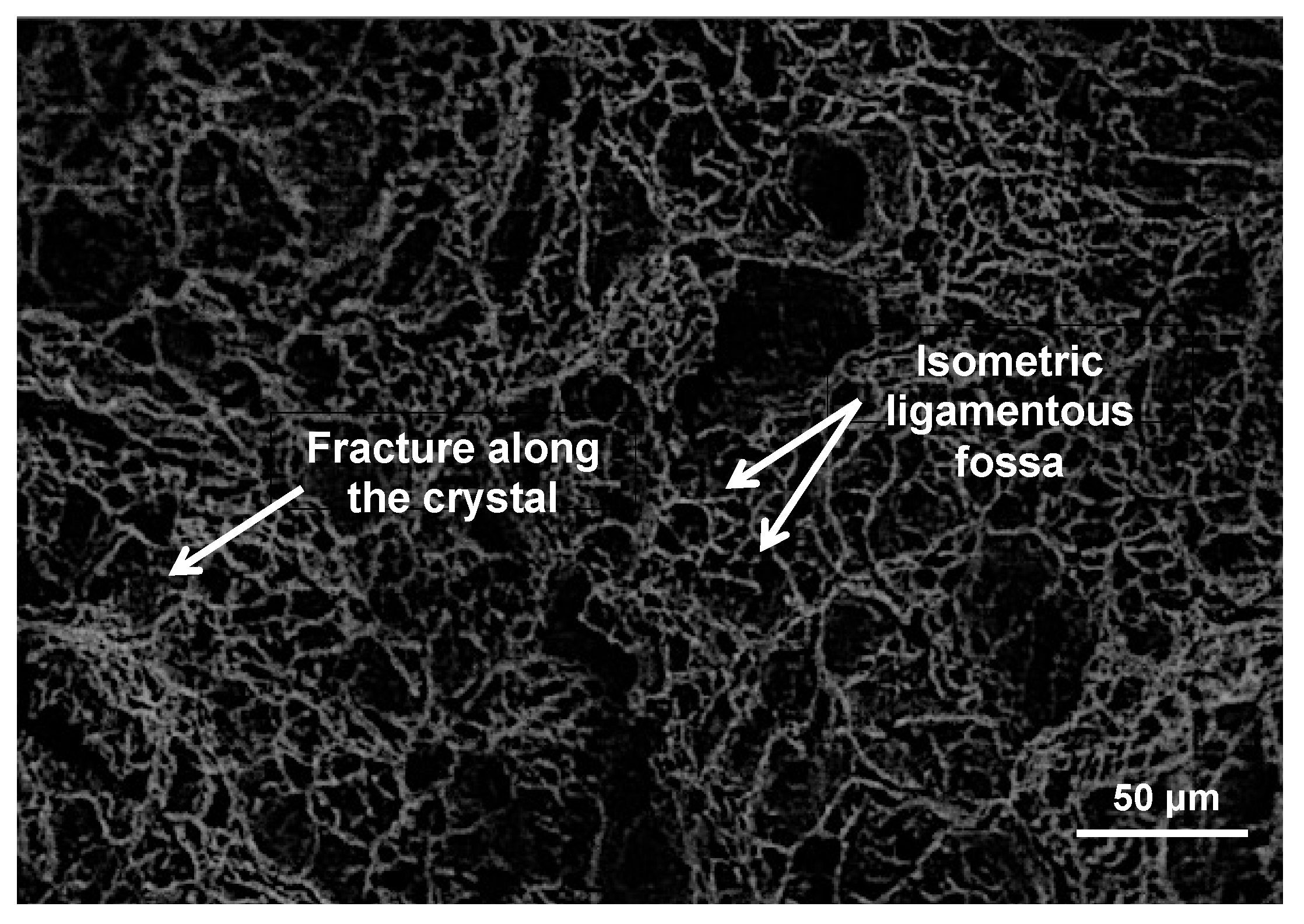 Processes 10 00192 g006