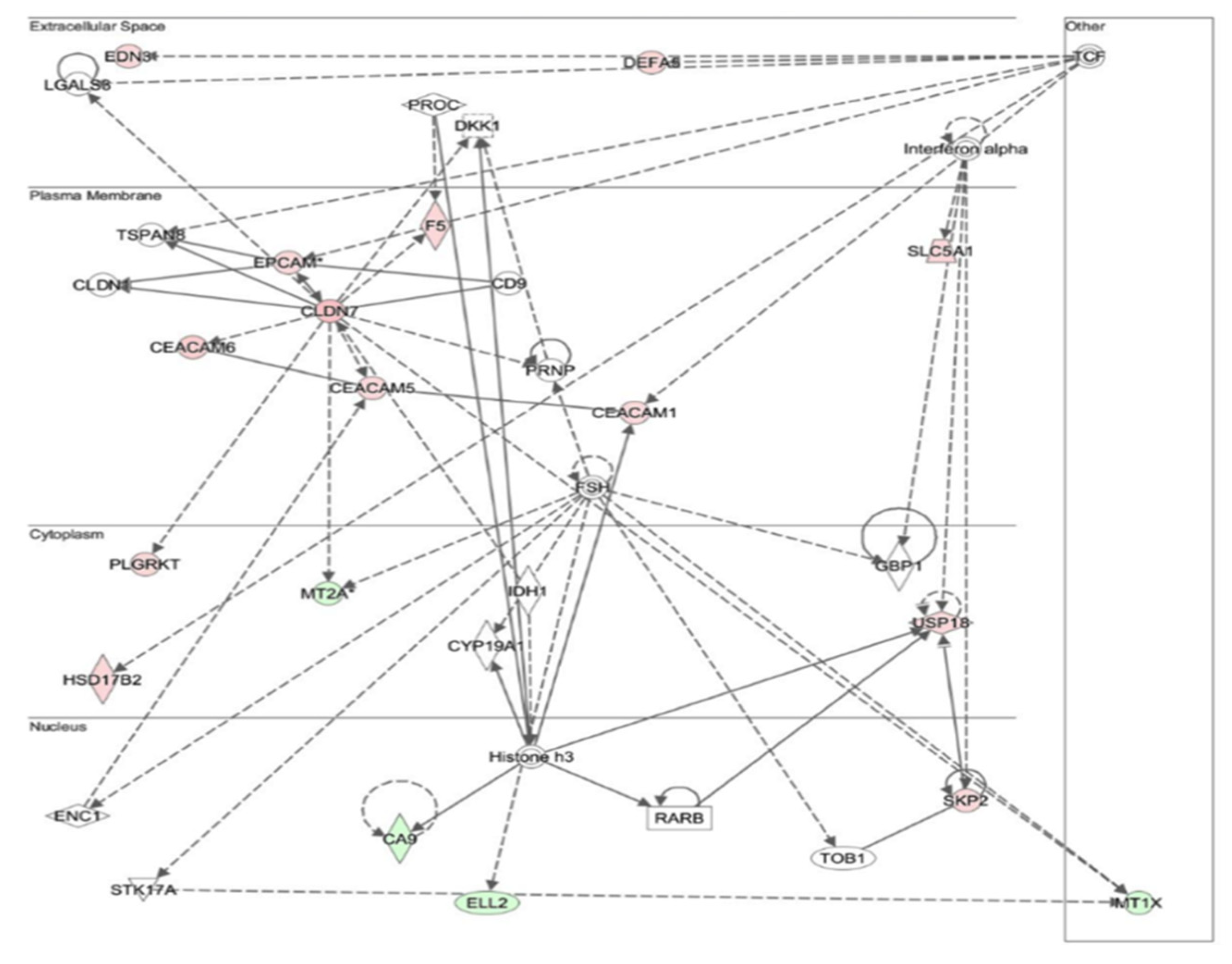 Processes 10 00196 g002