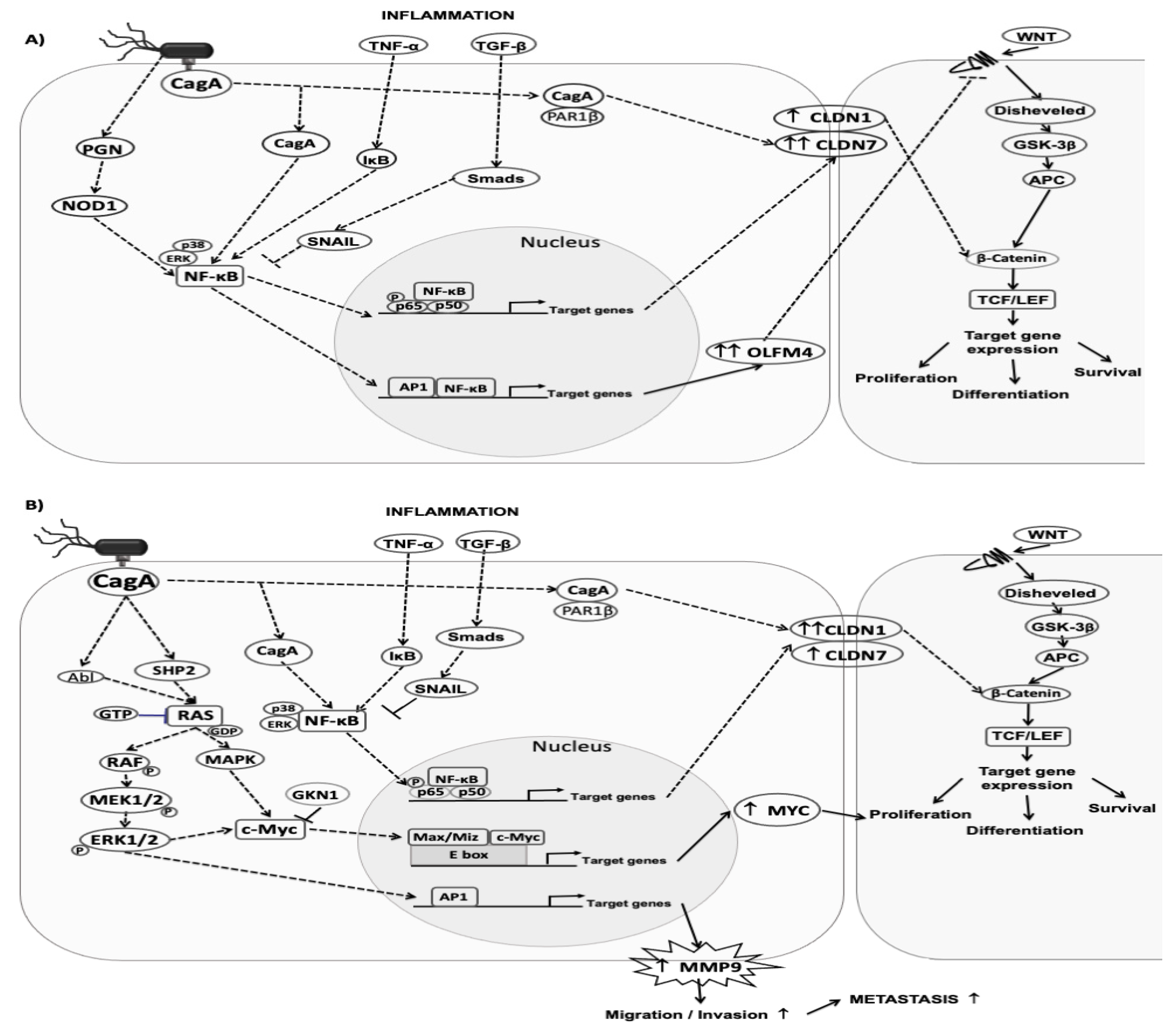 Processes 10 00196 g006