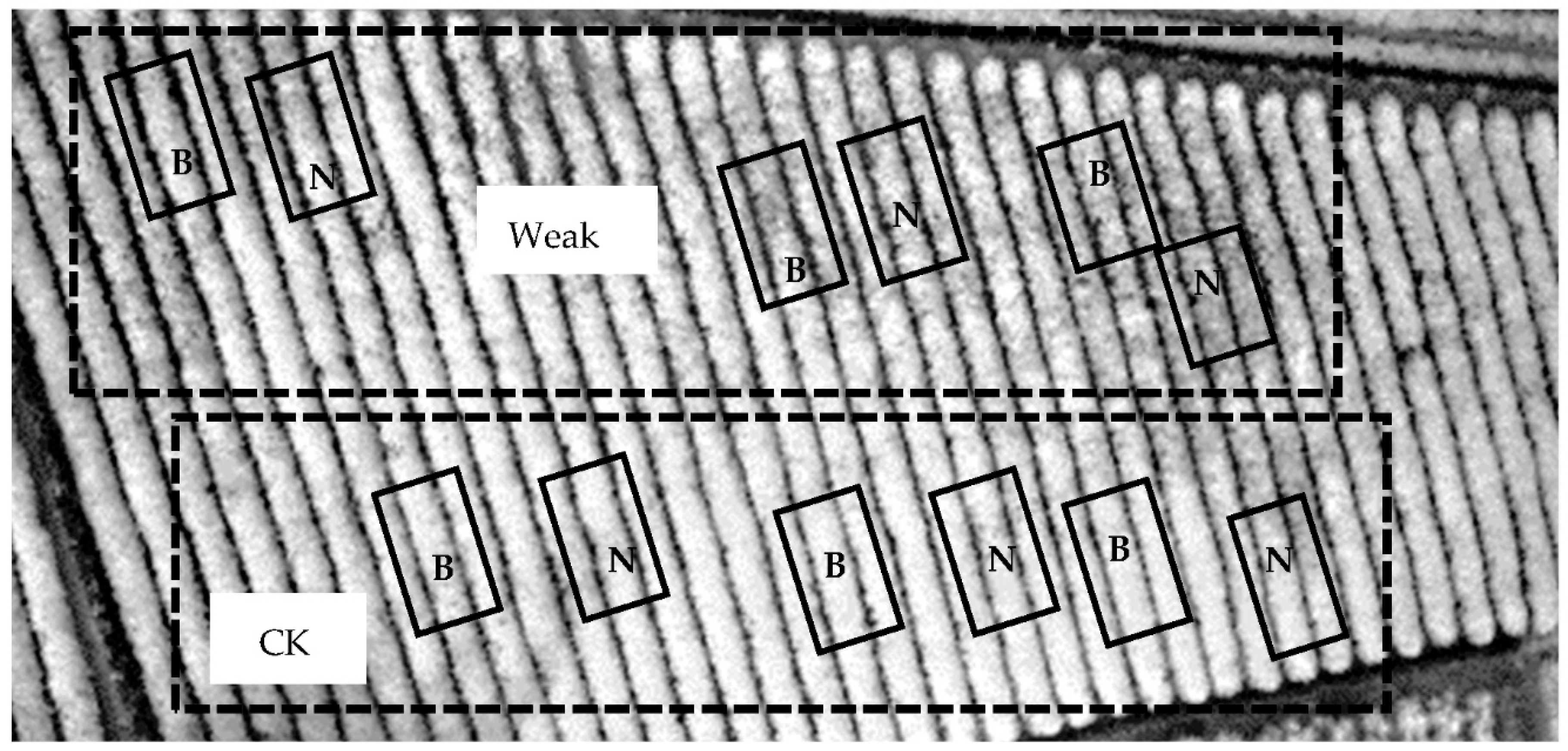 Processes 10 00199 g001 Processes 10 00199 g001