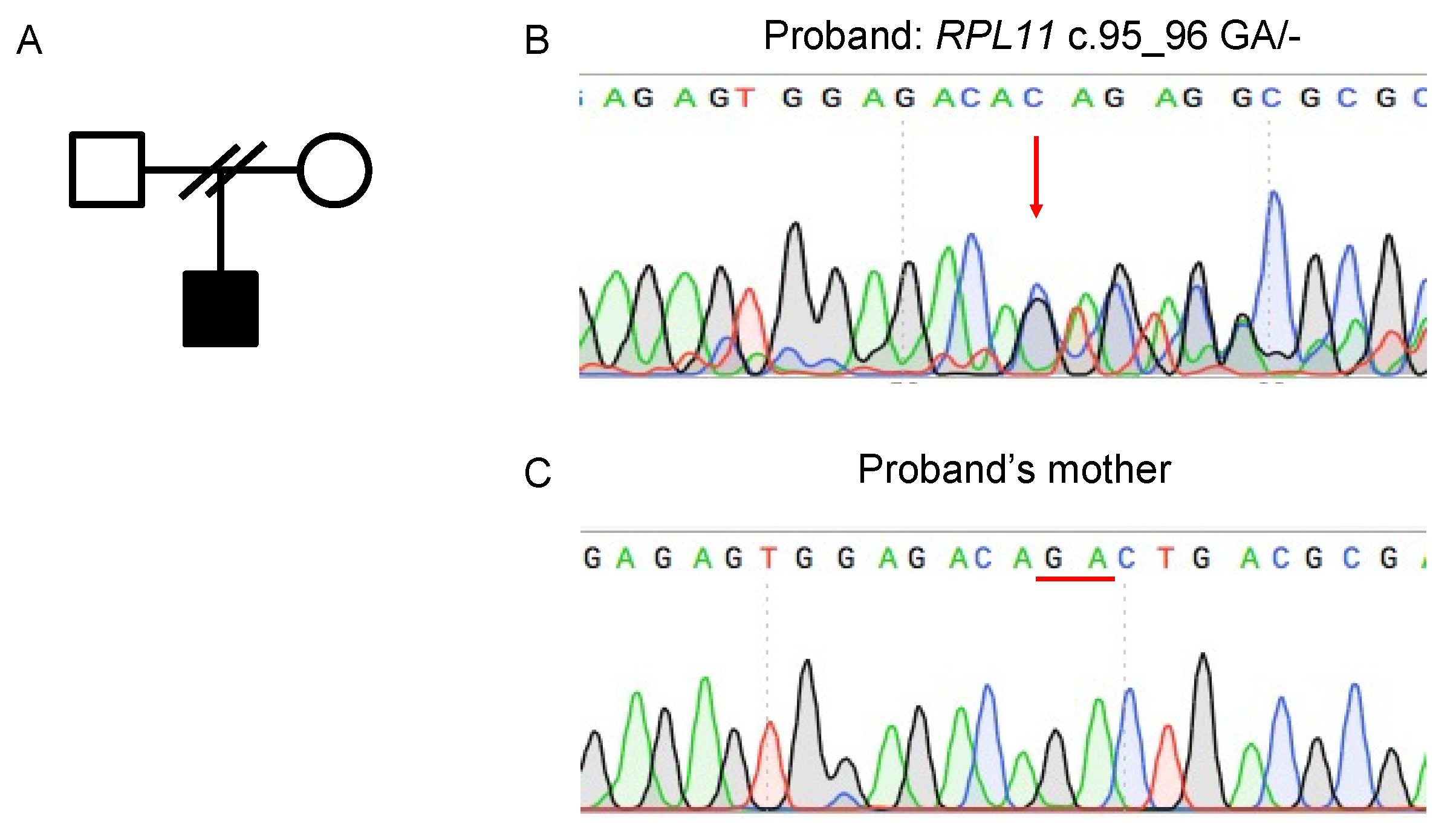 Processes 10 00201 g001