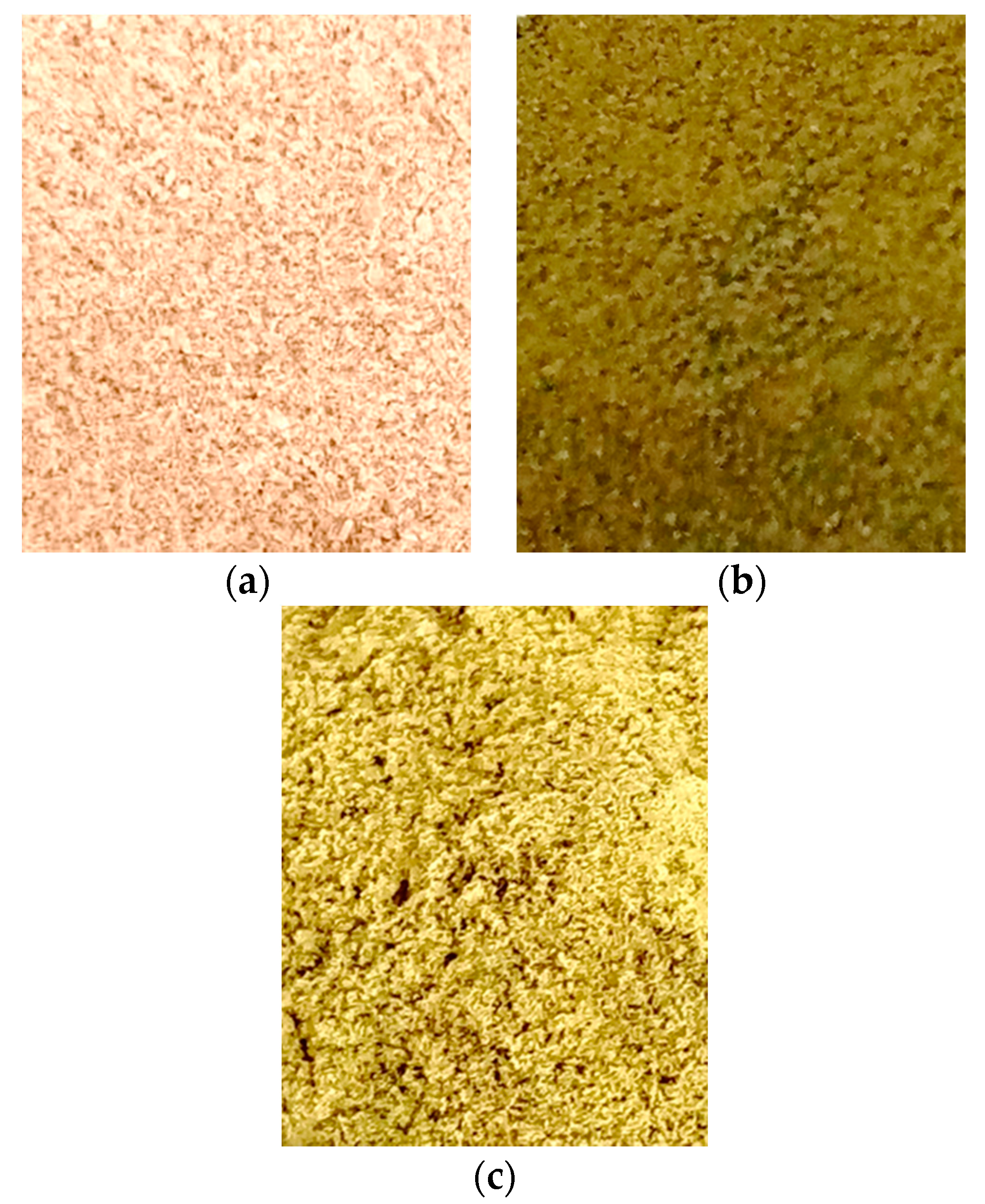 Processes 10 00205 g001