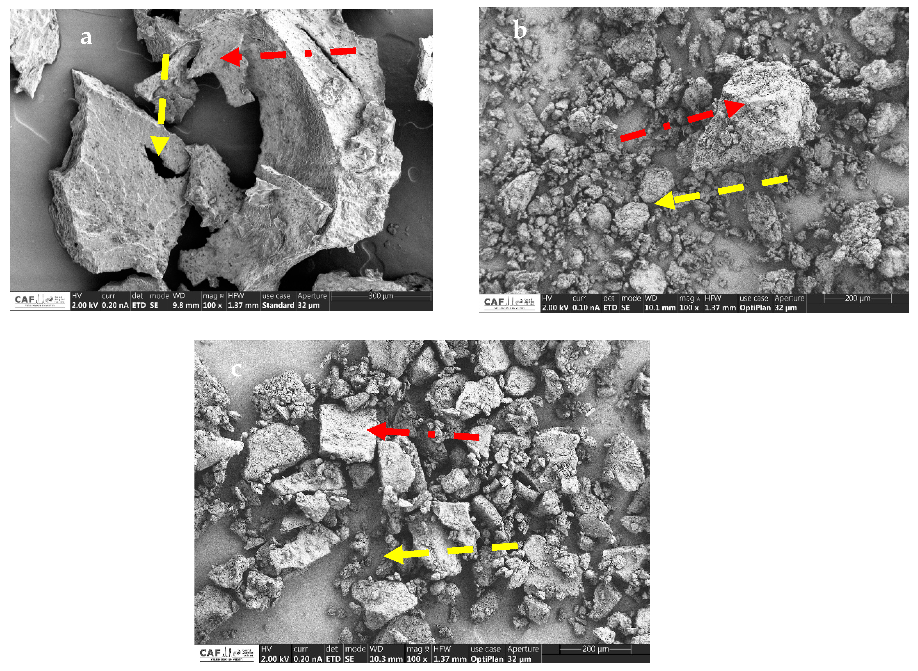Processes 10 00205 g002