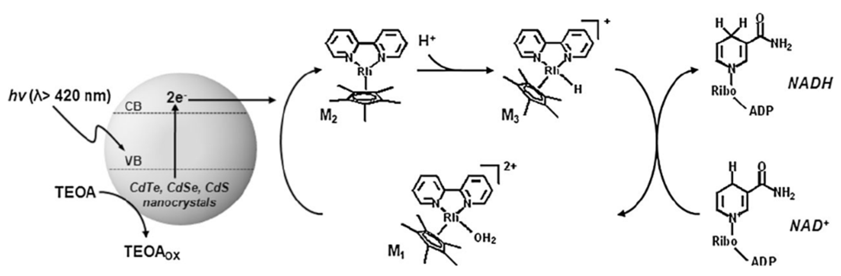 Processes 10 00230 g005
