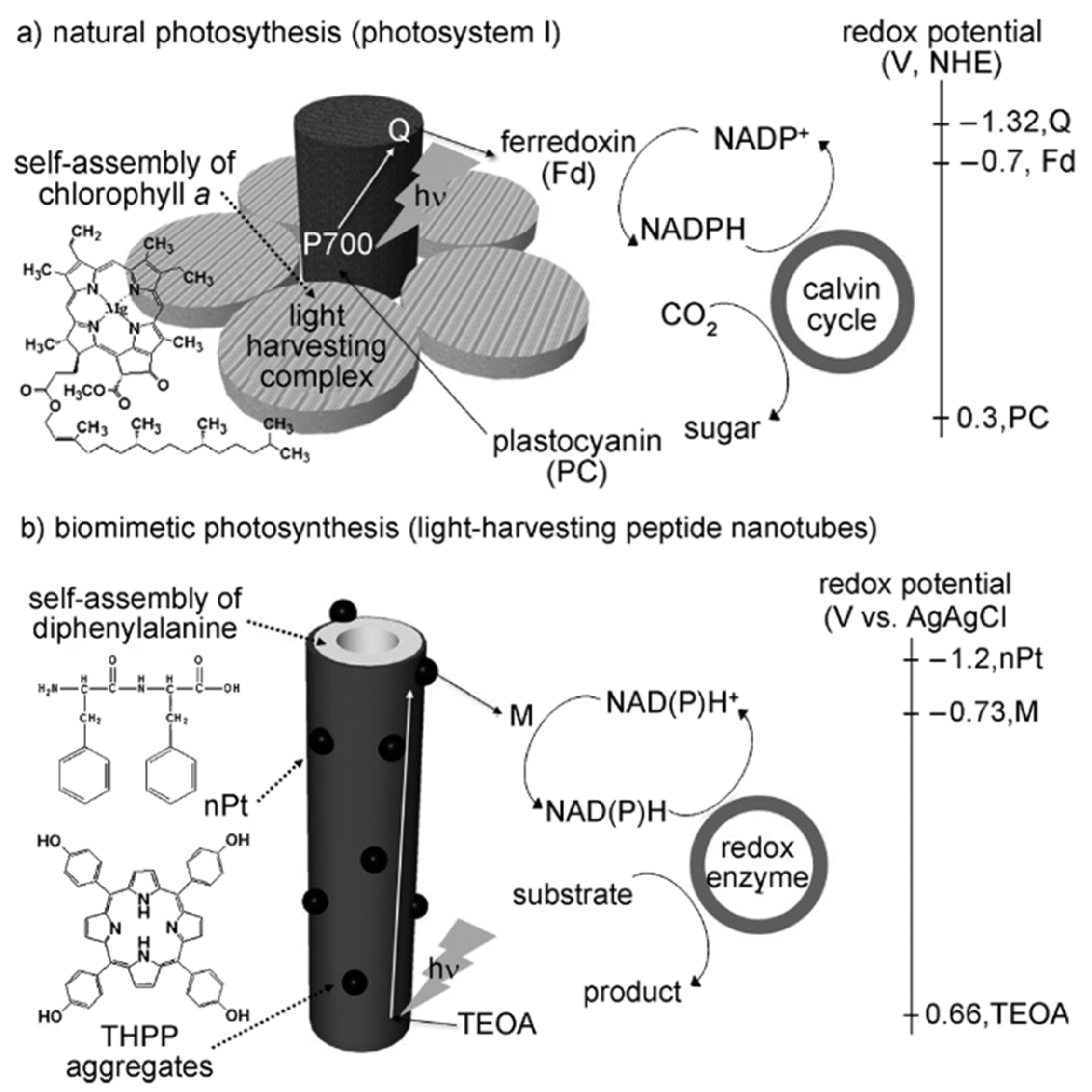 Processes 10 00230 g006