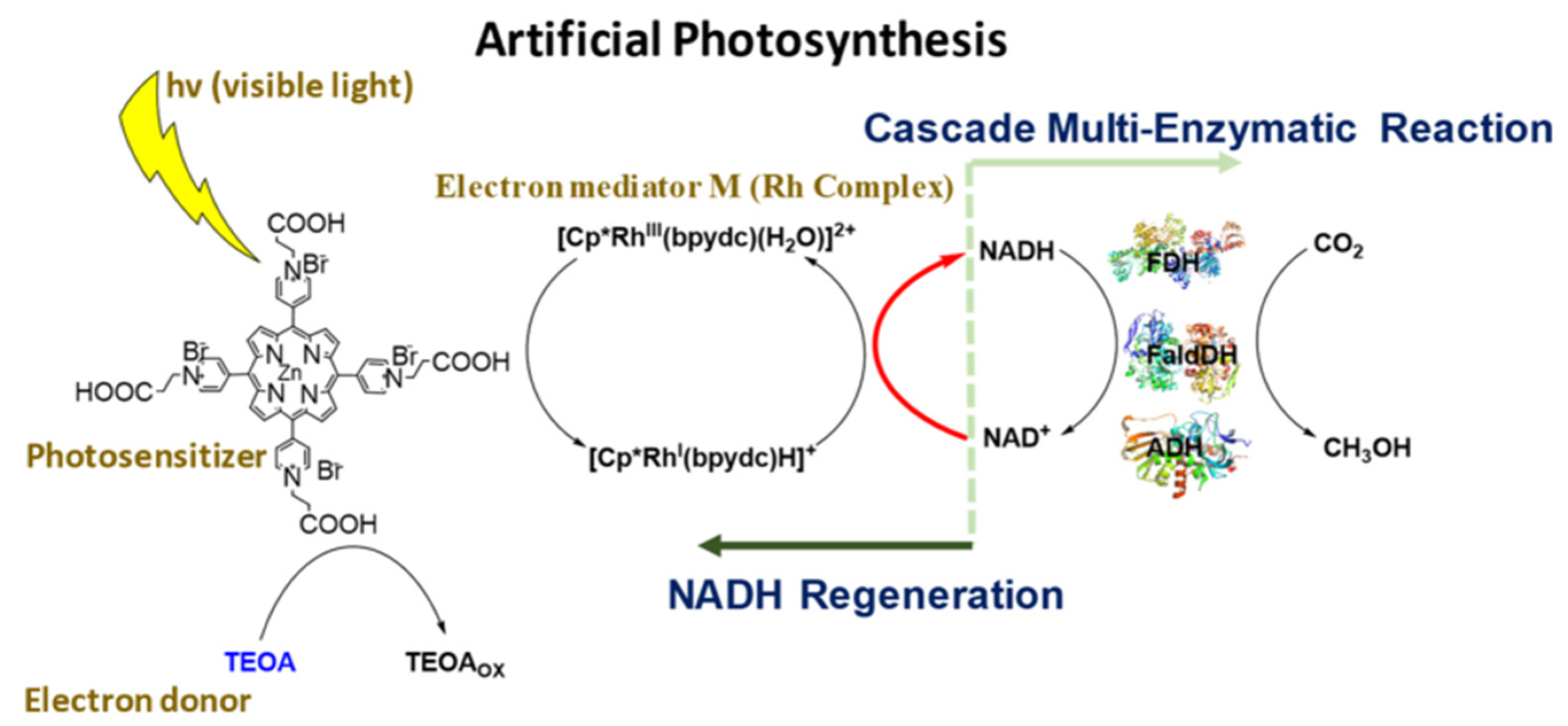 Processes 10 00230 g008