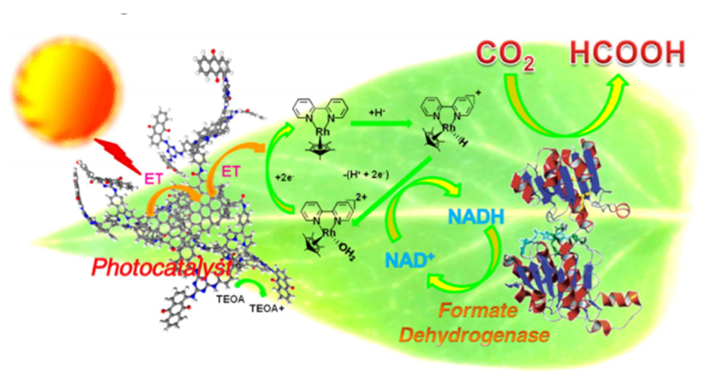 Processes 10 00230 g009