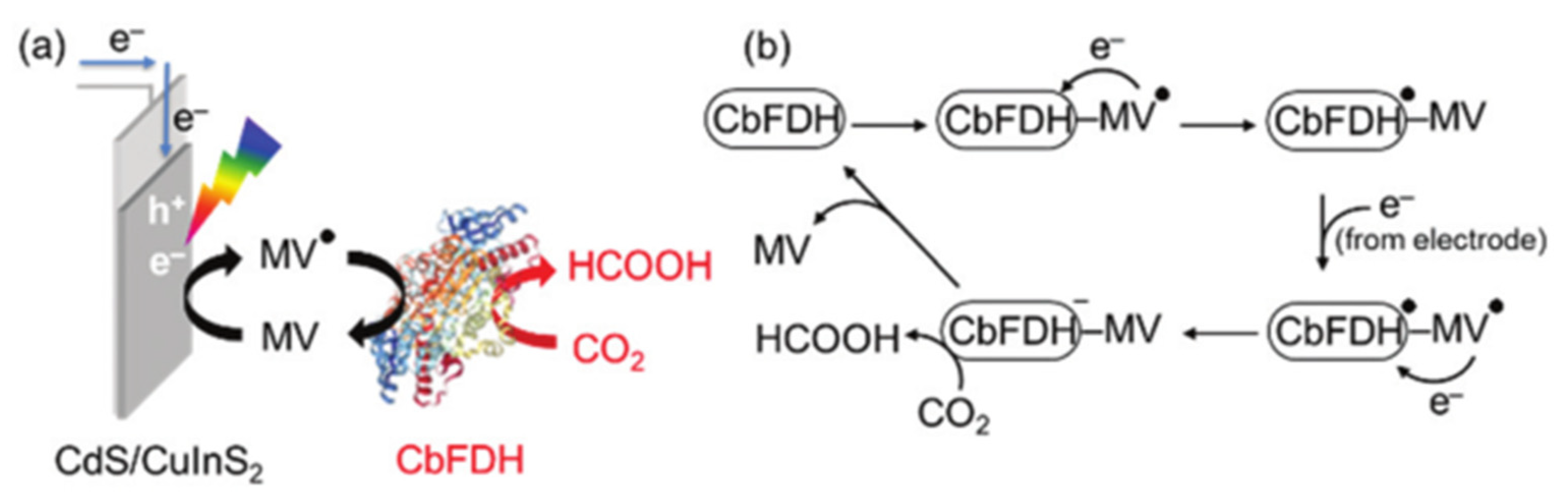 Processes 10 00230 g014