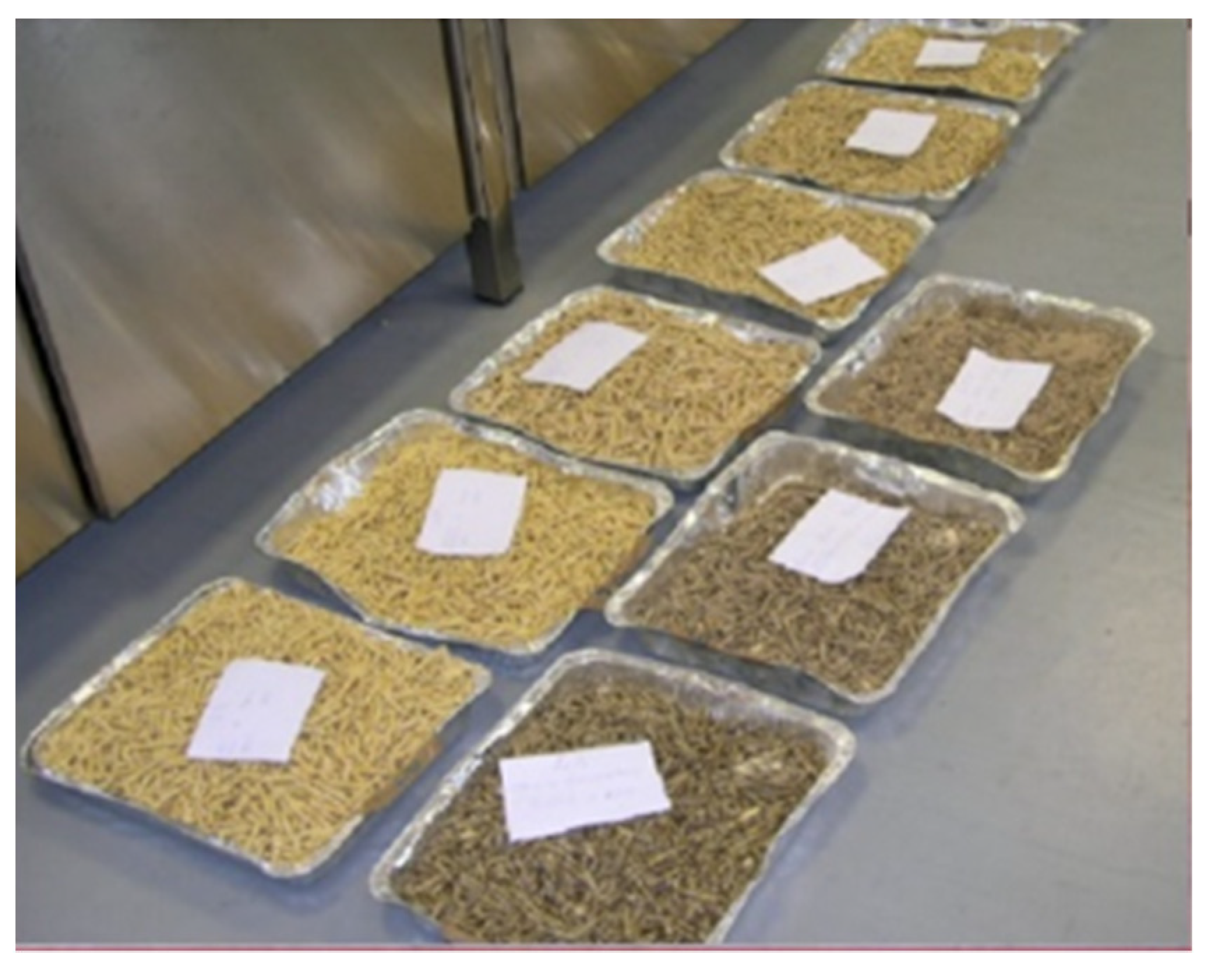 Processes 10 00232 g001