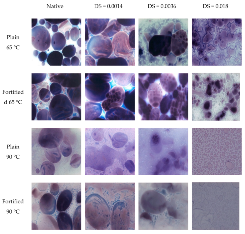 Processes 10 00235 g003