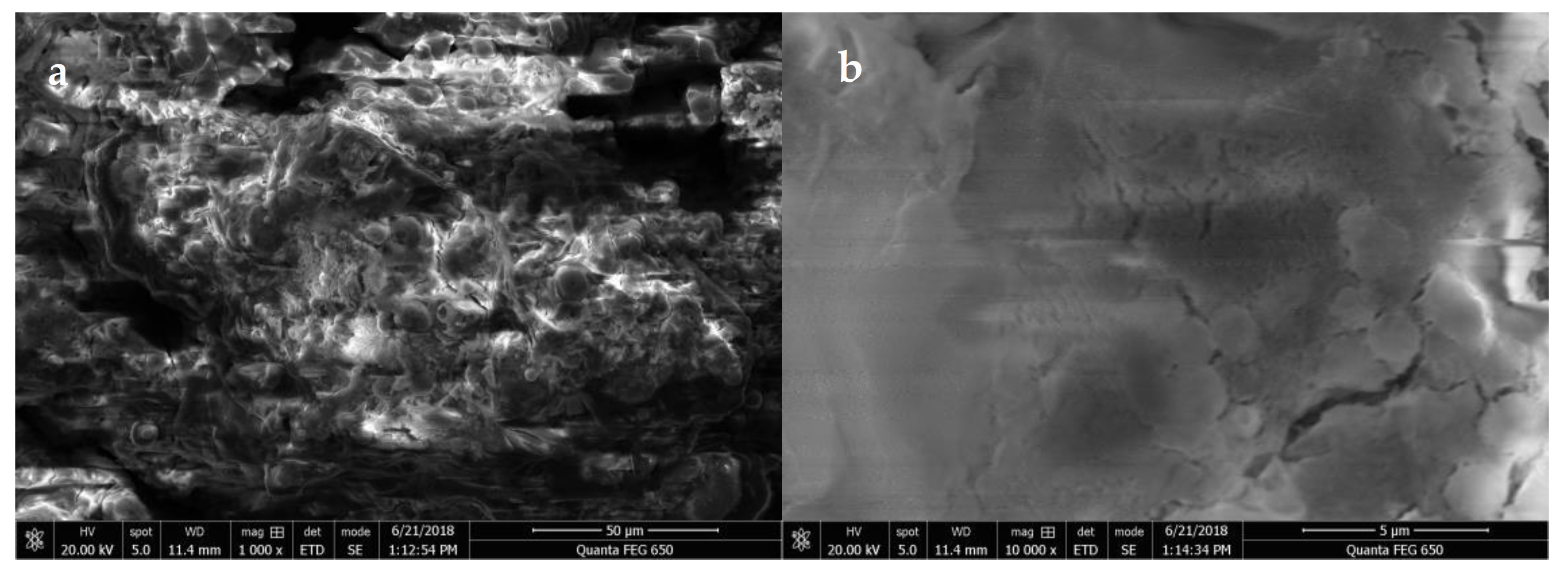 Processes 10 00241 g010