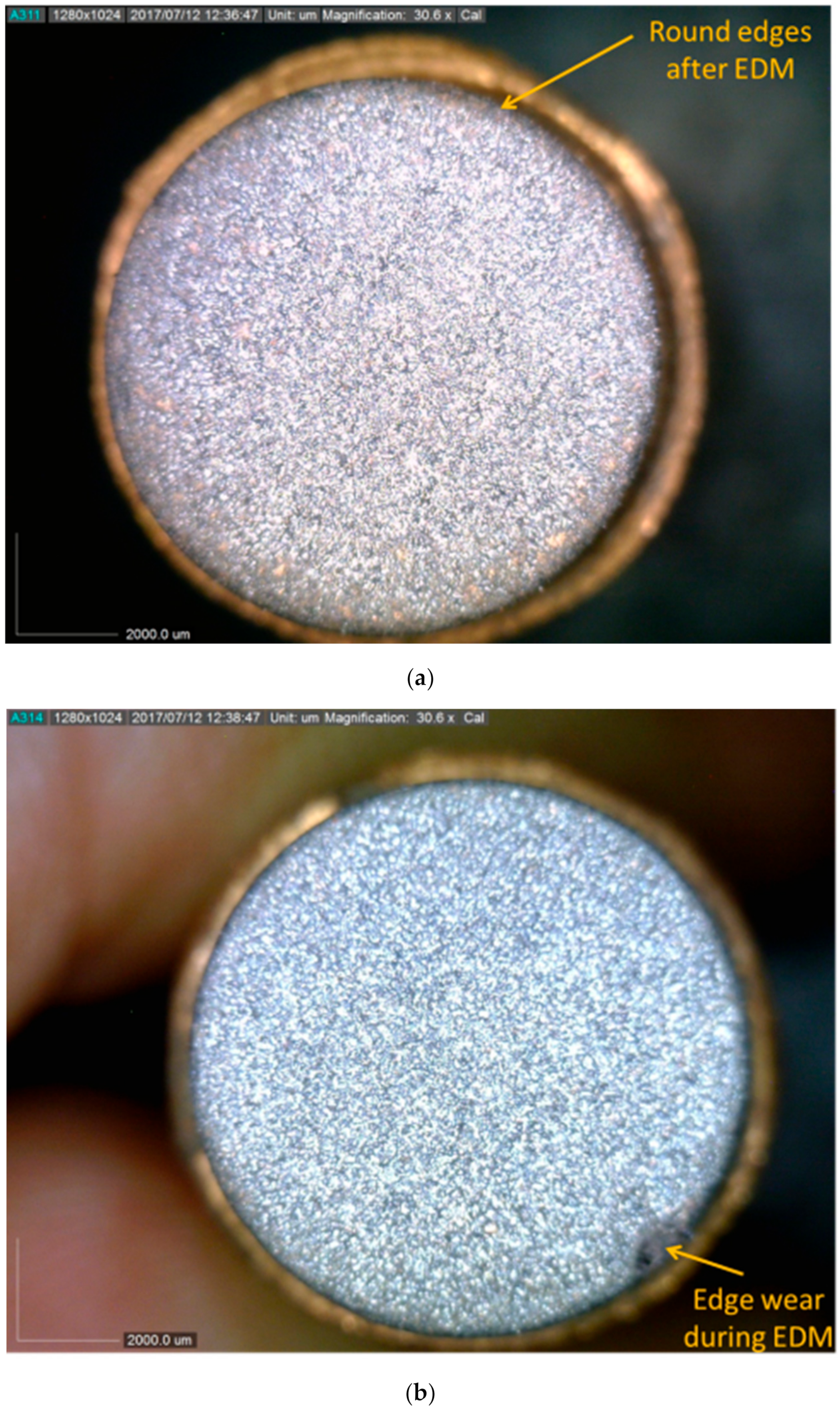 Processes 10 00252 g017
