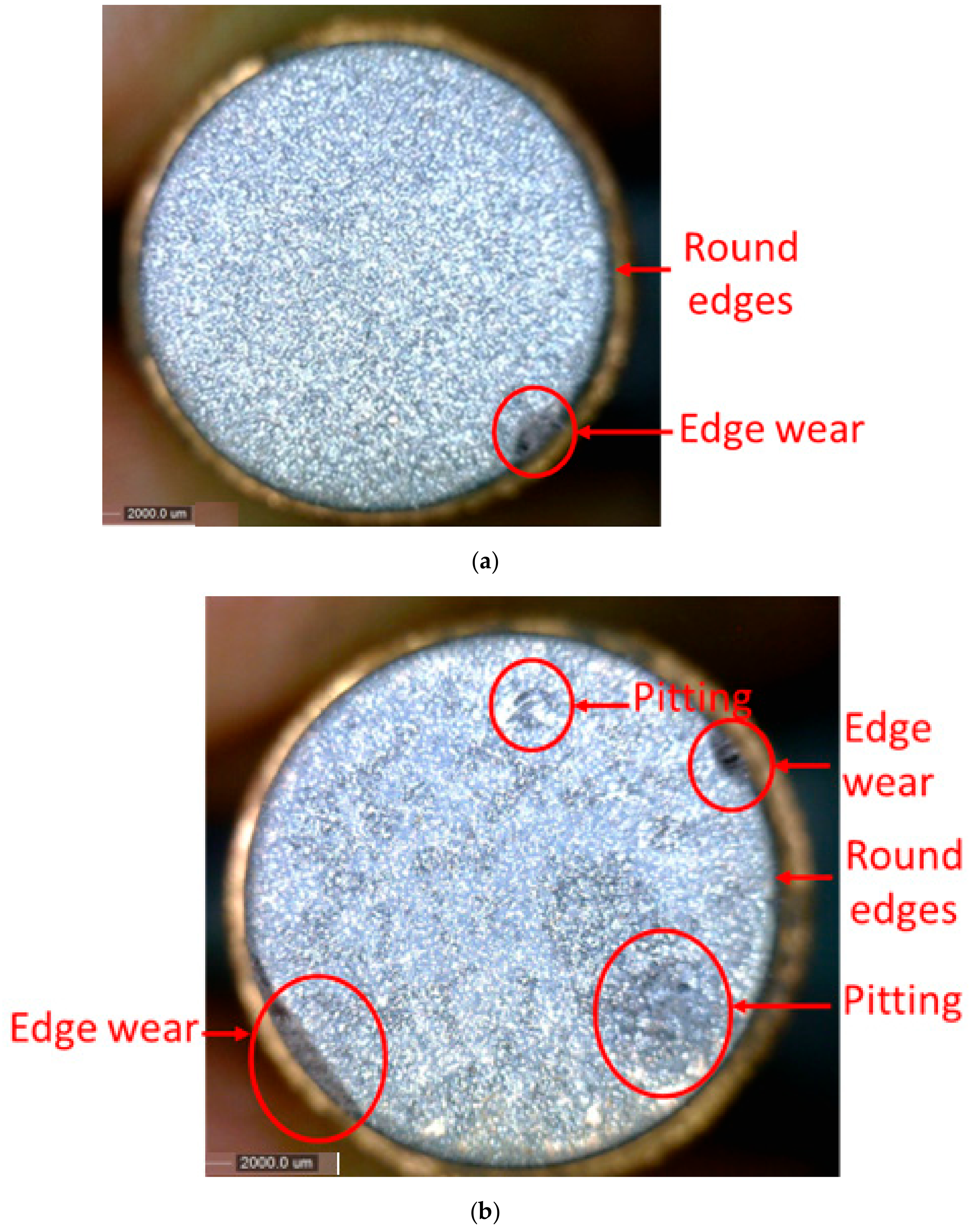 Processes 10 00252 g019