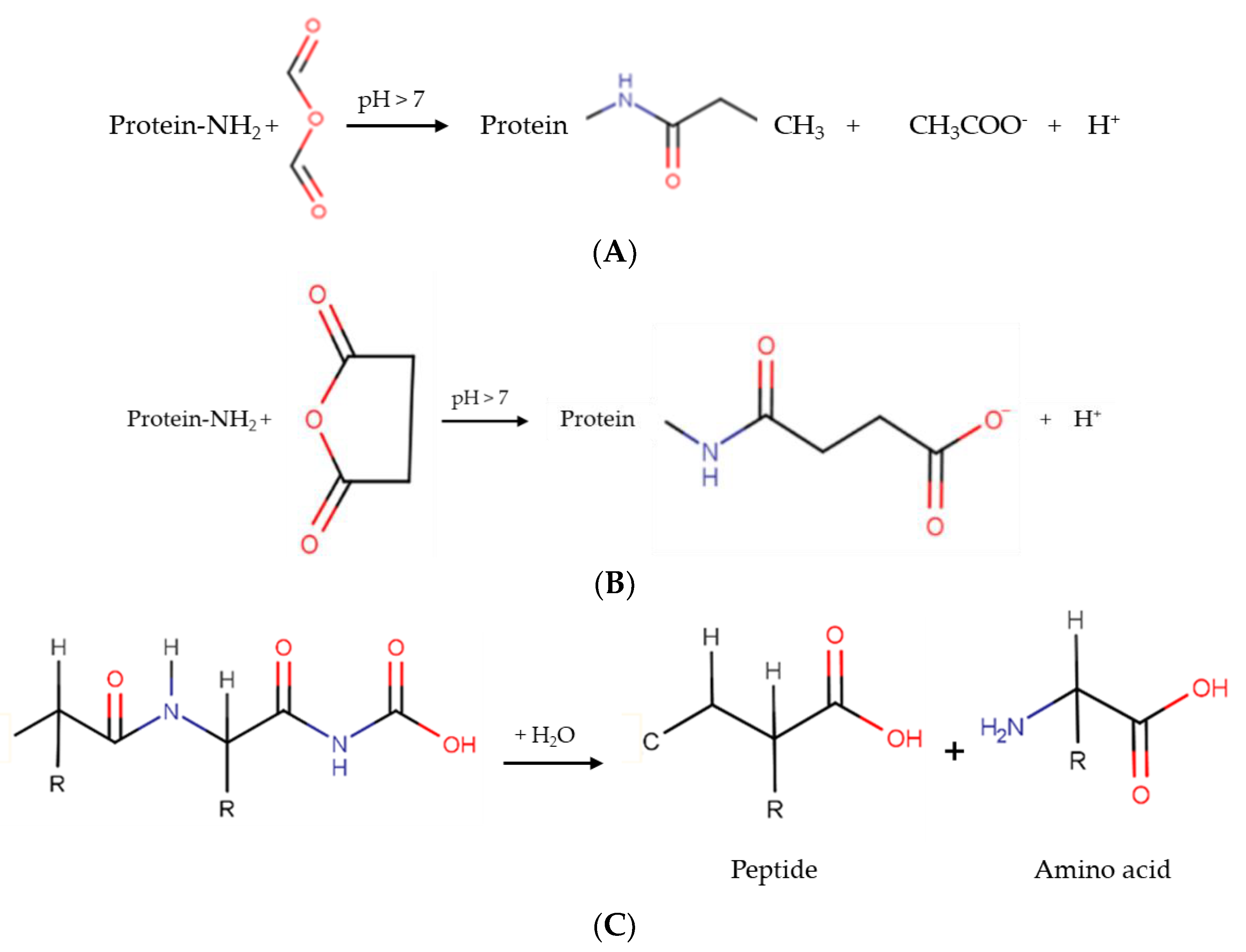 Processes 10 00283 g002