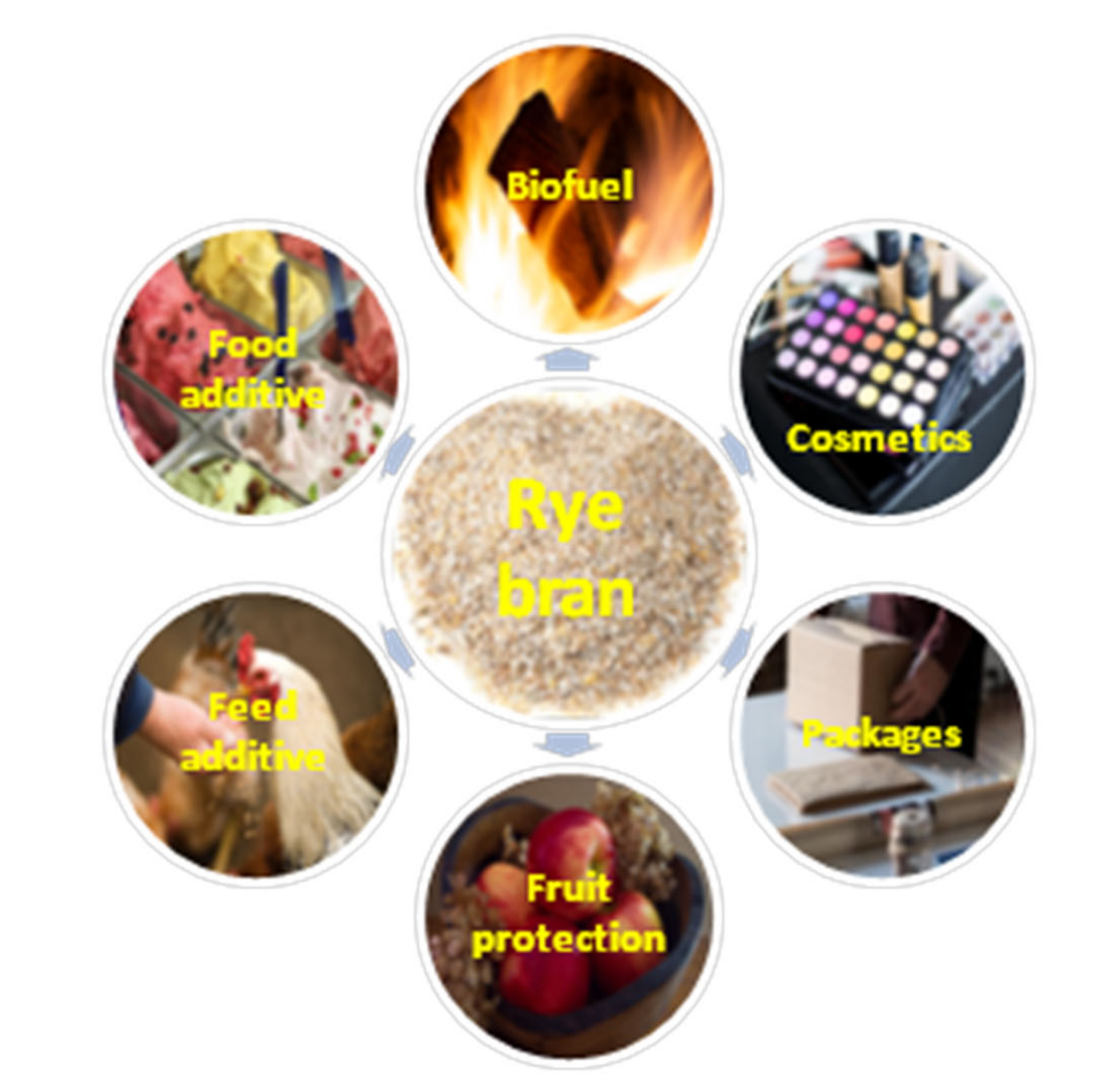 Processes 10 00293 g004 Processes 10 00293 g004