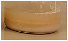 Processes 10 00299 i002