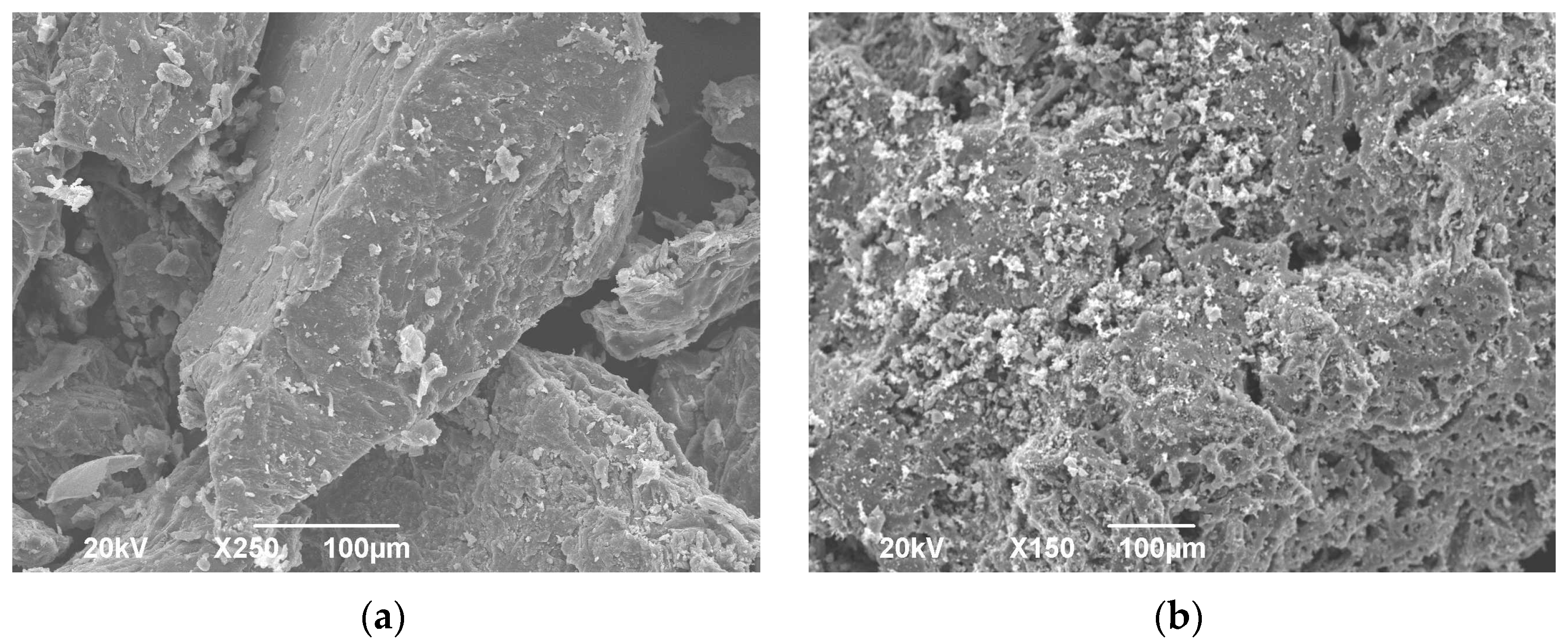 Processes 10 00314 g002