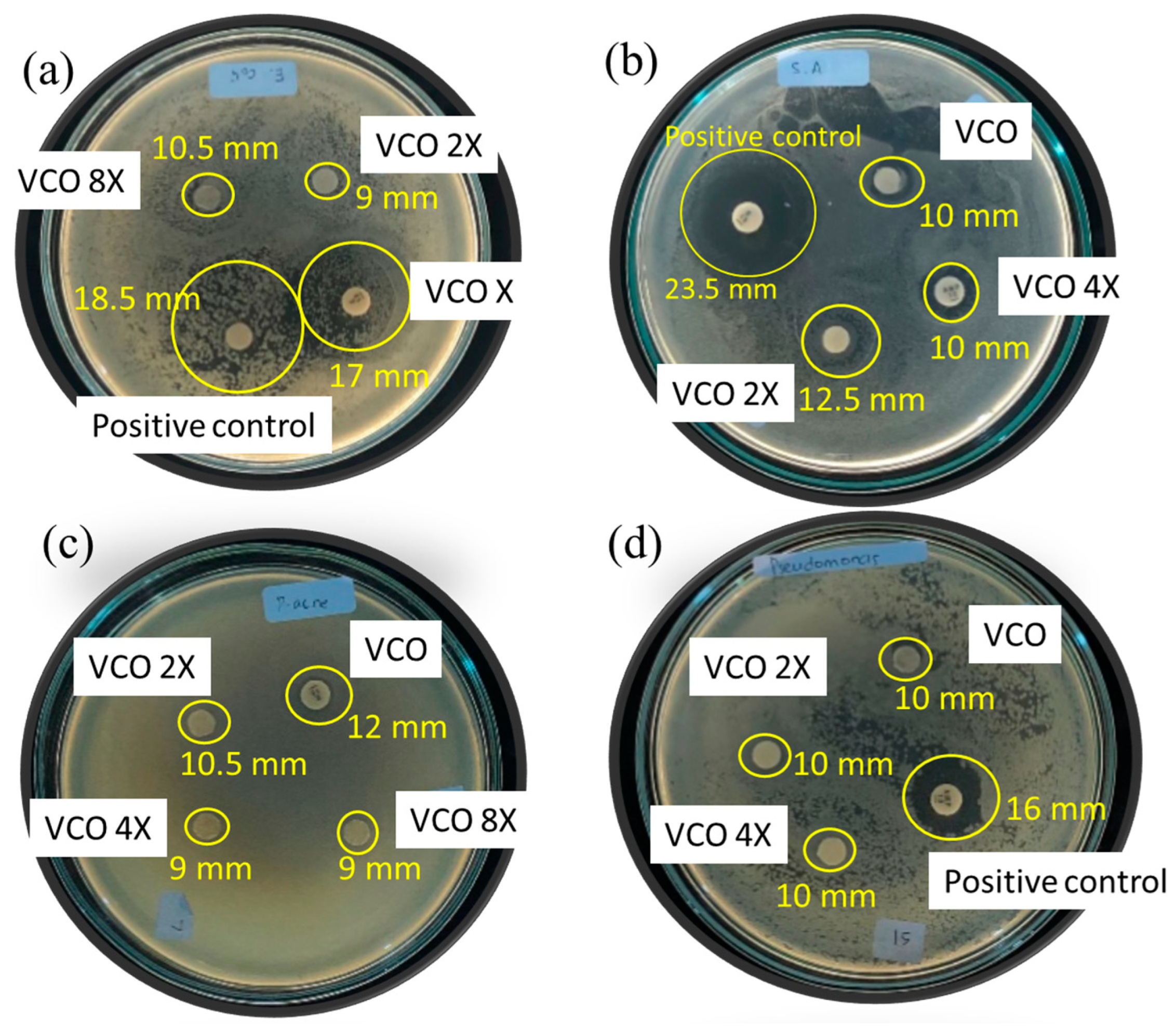 Processes 10 00315 g003