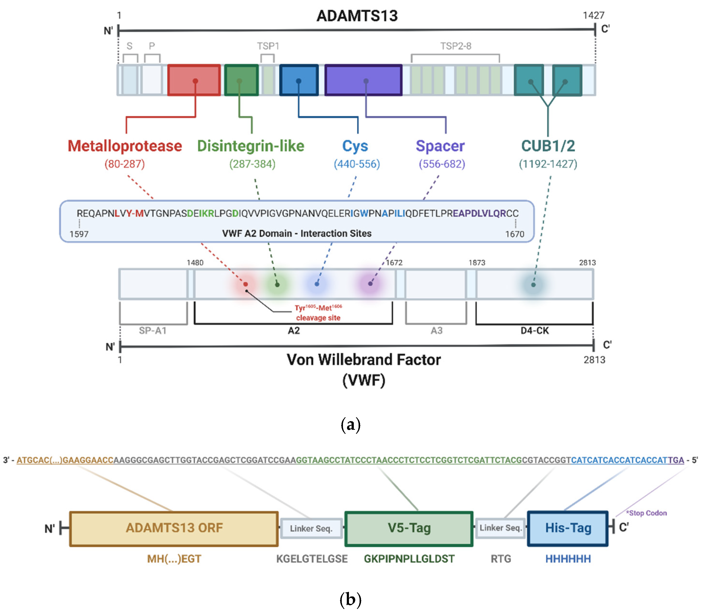 Processes 10 00322 g001