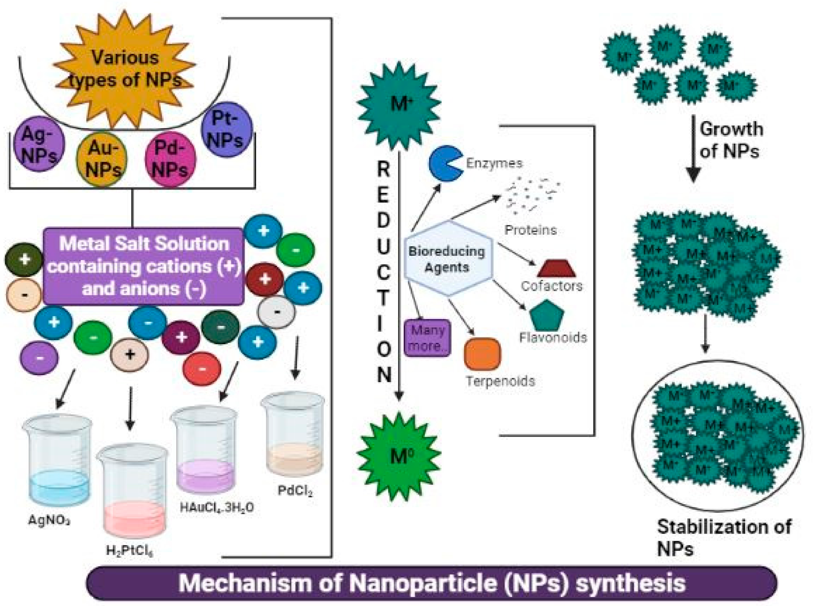 Processes 10 00338 g002