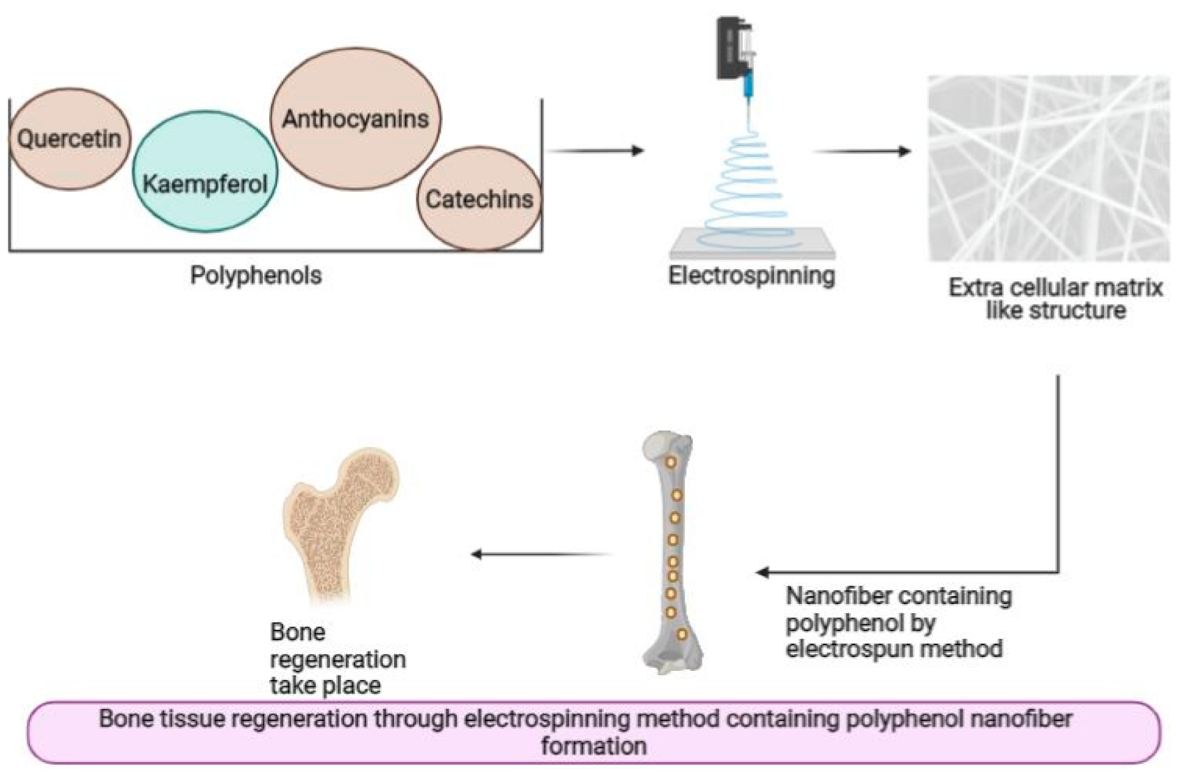 Processes 10 00338 g005