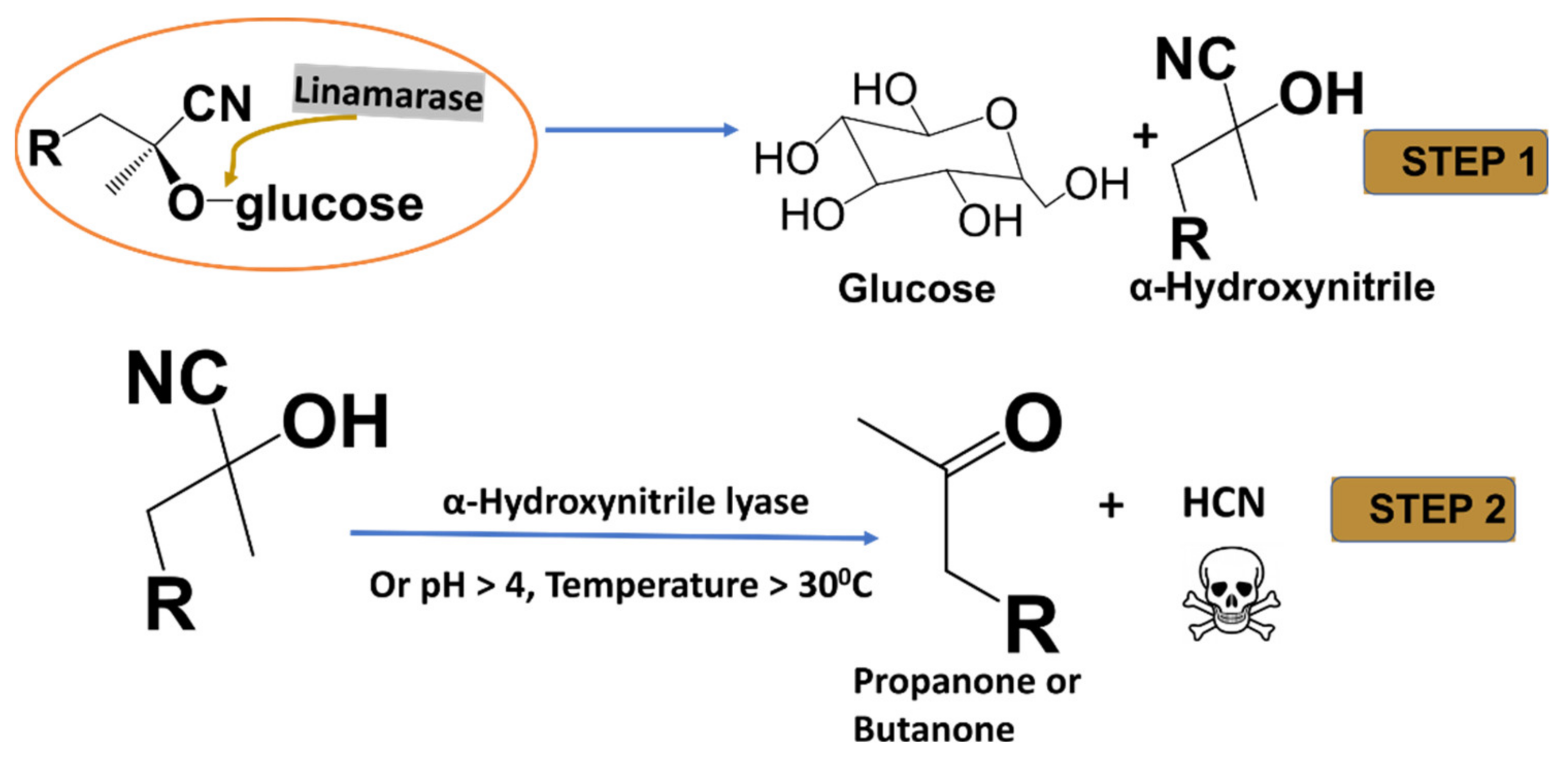 Processes 10 00352 g001