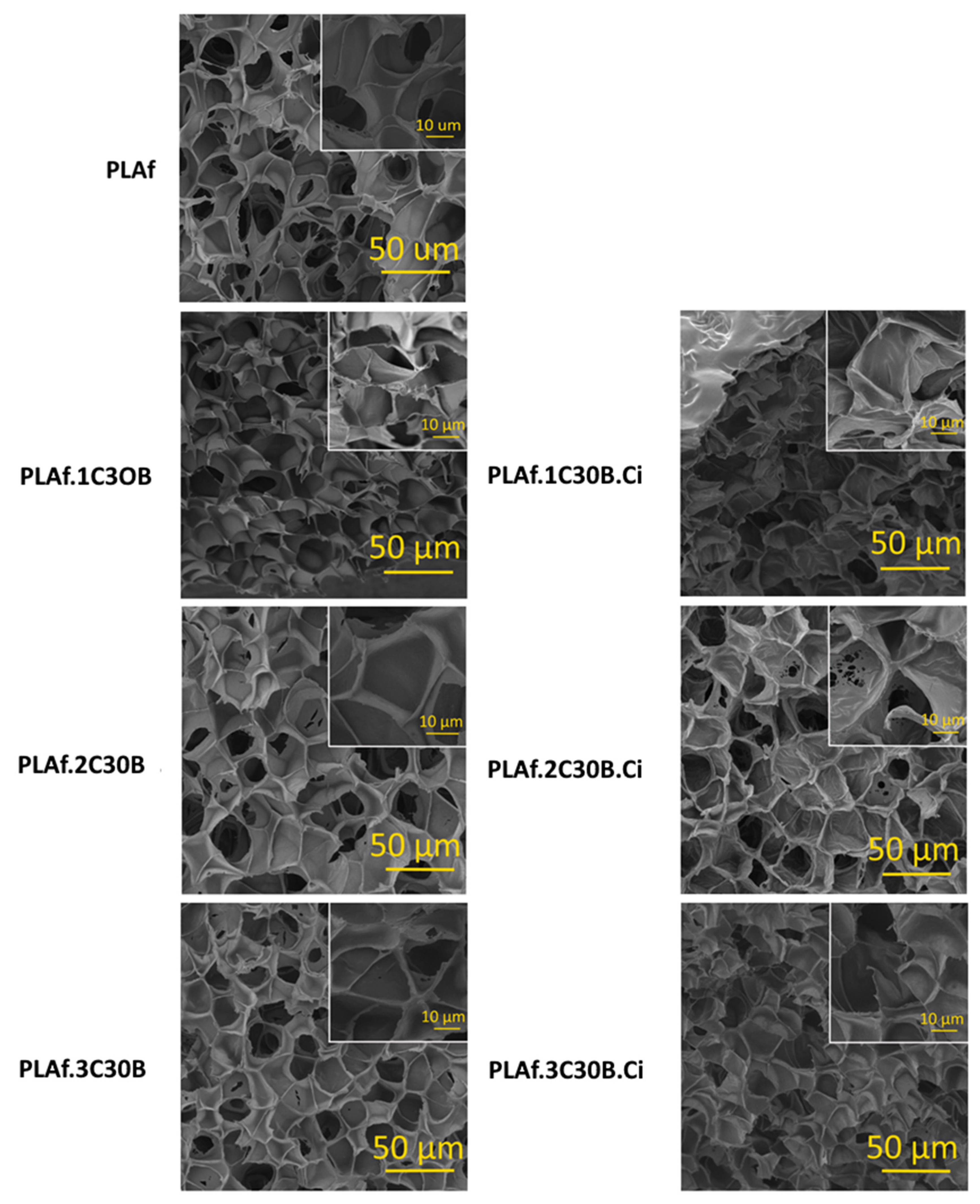 Processes 10 00376 g002