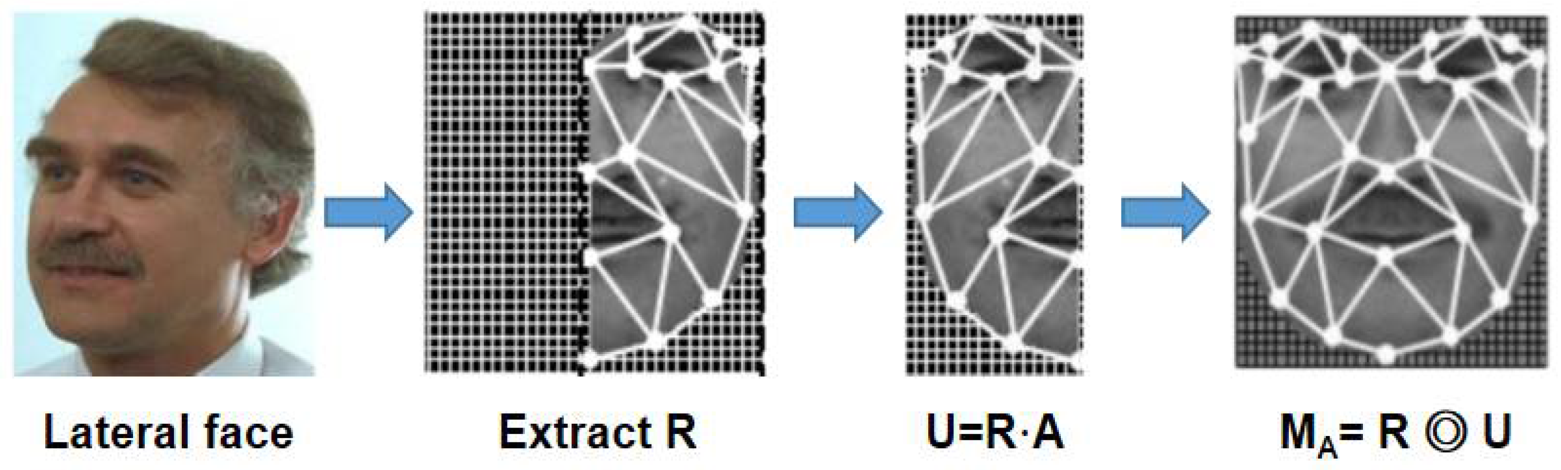 Processes 10 00380 g005