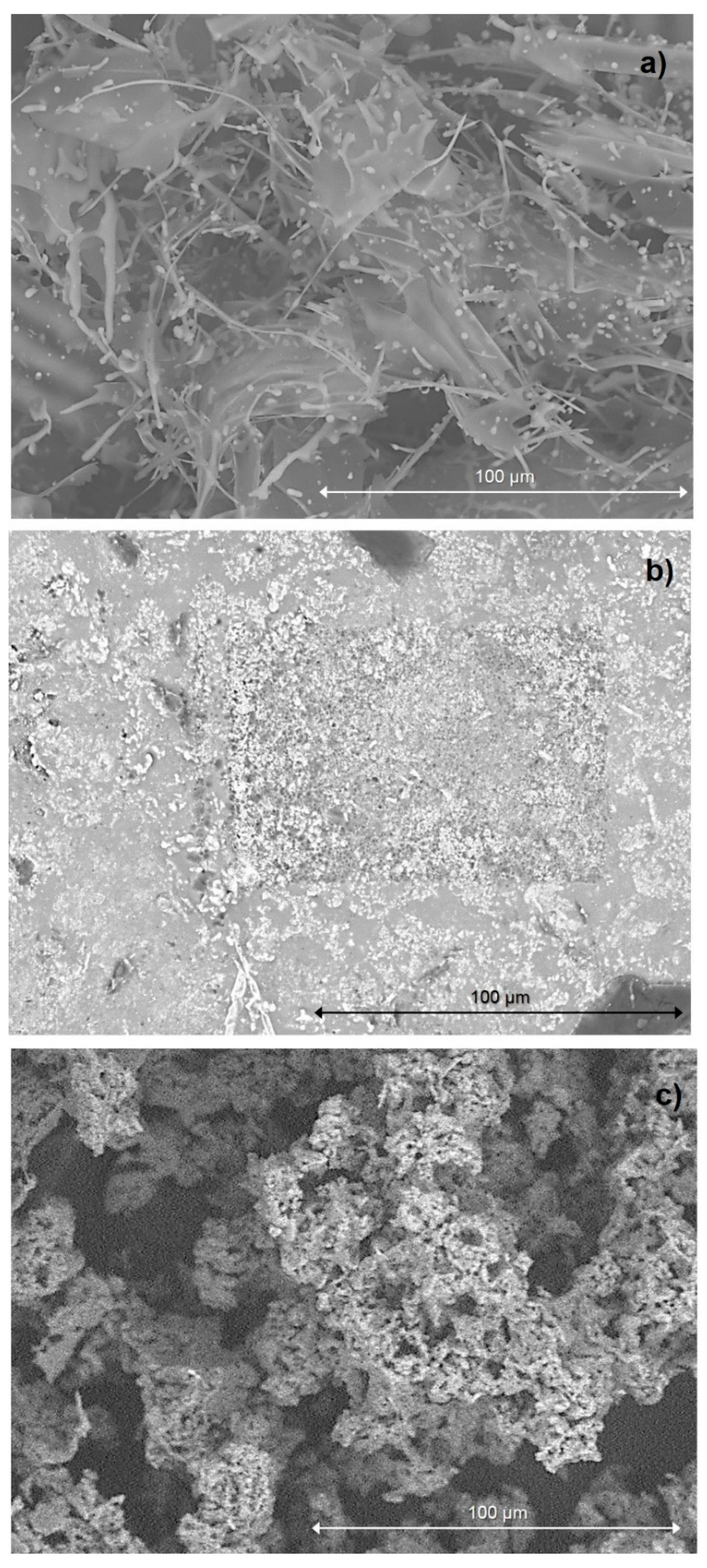 Processes 10 00389 g003