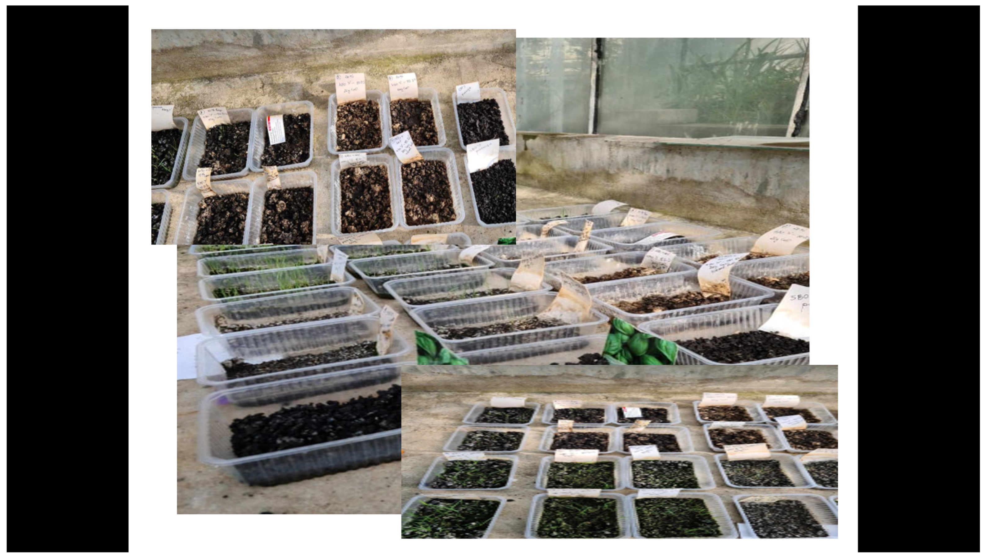 Processes 10 00406 g001