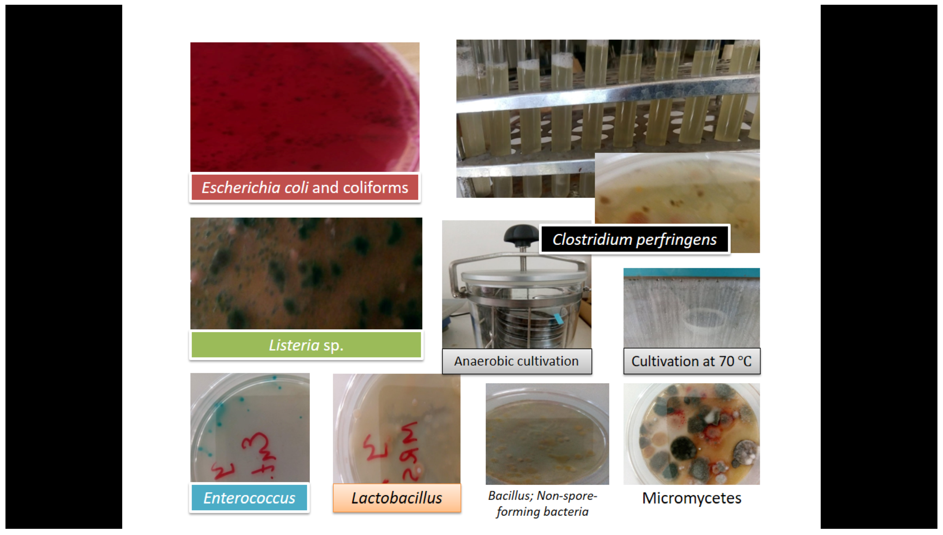 Processes 10 00406 g004