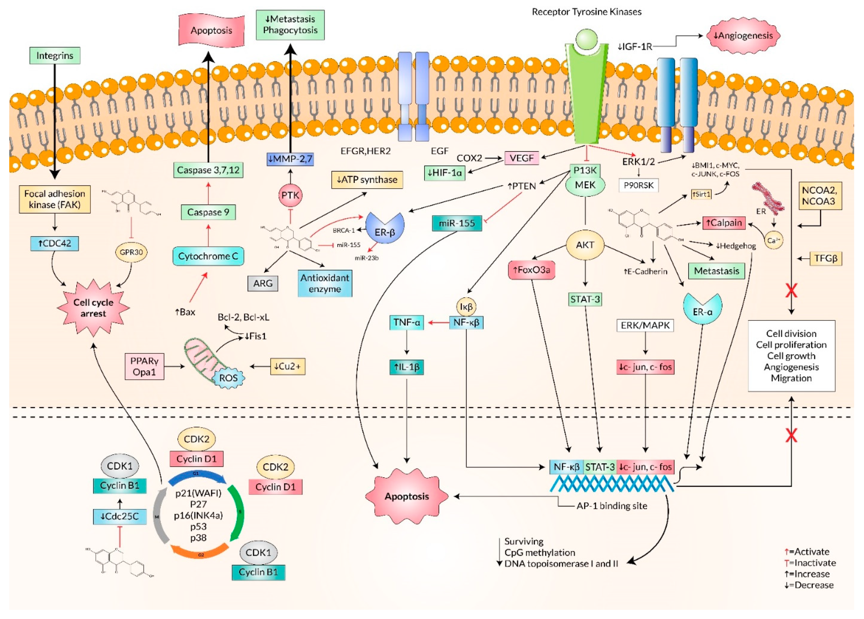 Processes 10 00415 g001